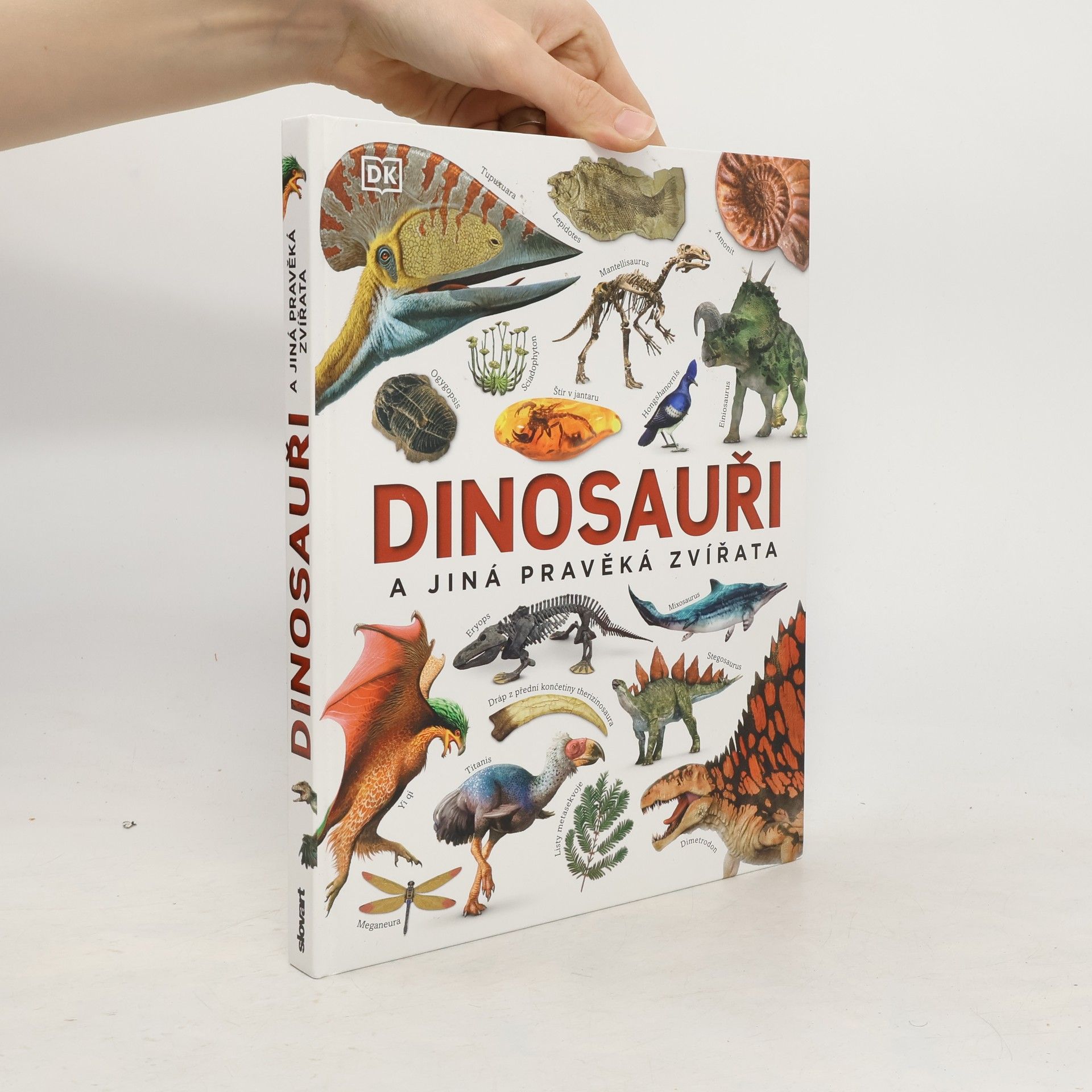 Vladimír Socha Dinosauři a jiná pravěká zvířata