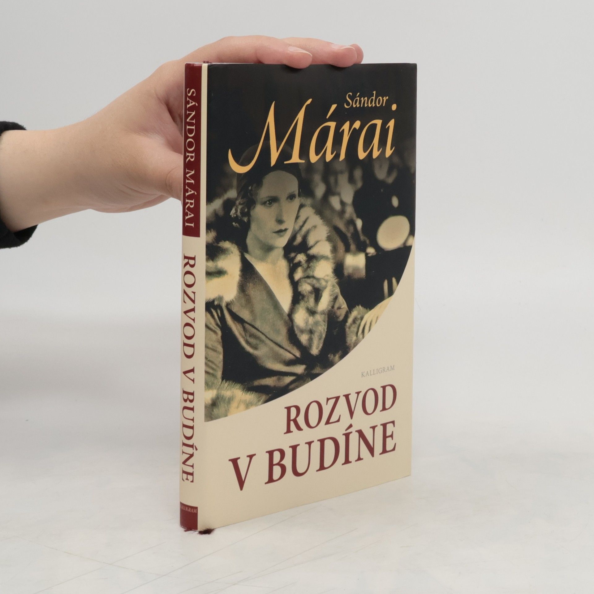 Sándor Márai Rozvod v Budíne