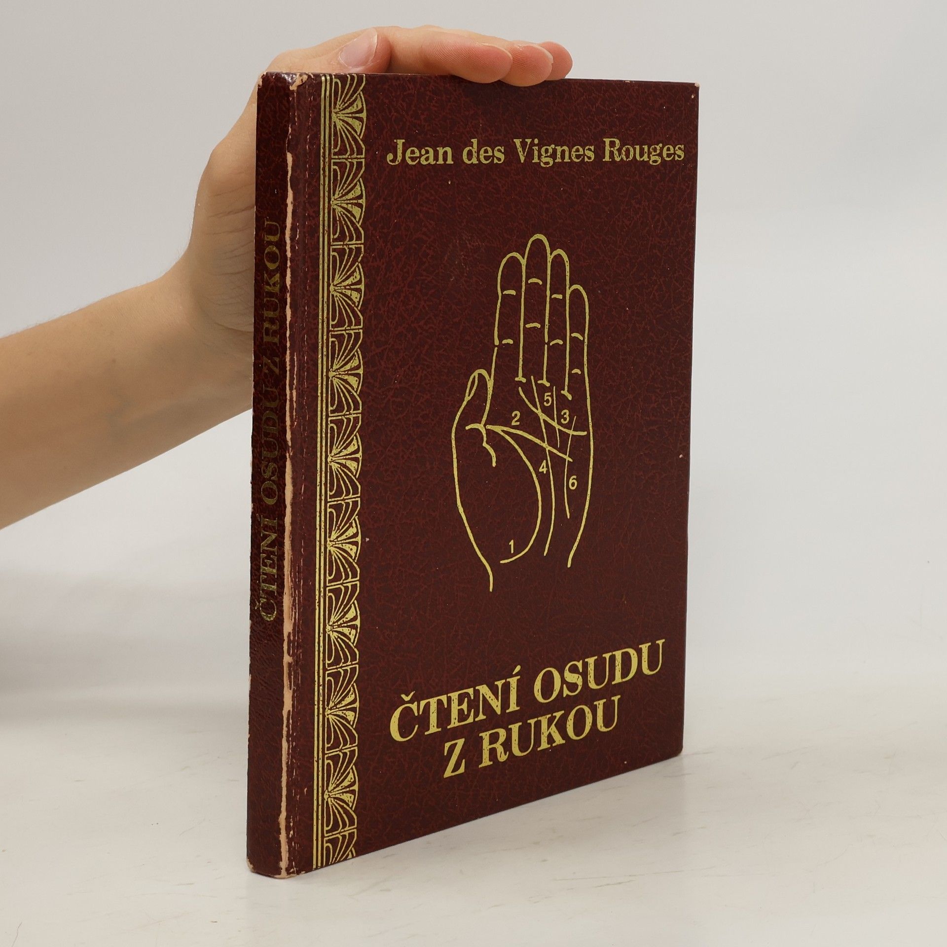 Jean Taboureau Čtení osudu z rukou