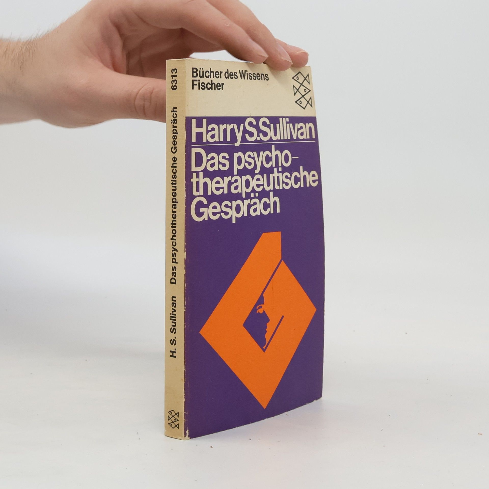 Harry Stack Sullivan Das psychotherapeutische Gespräch
