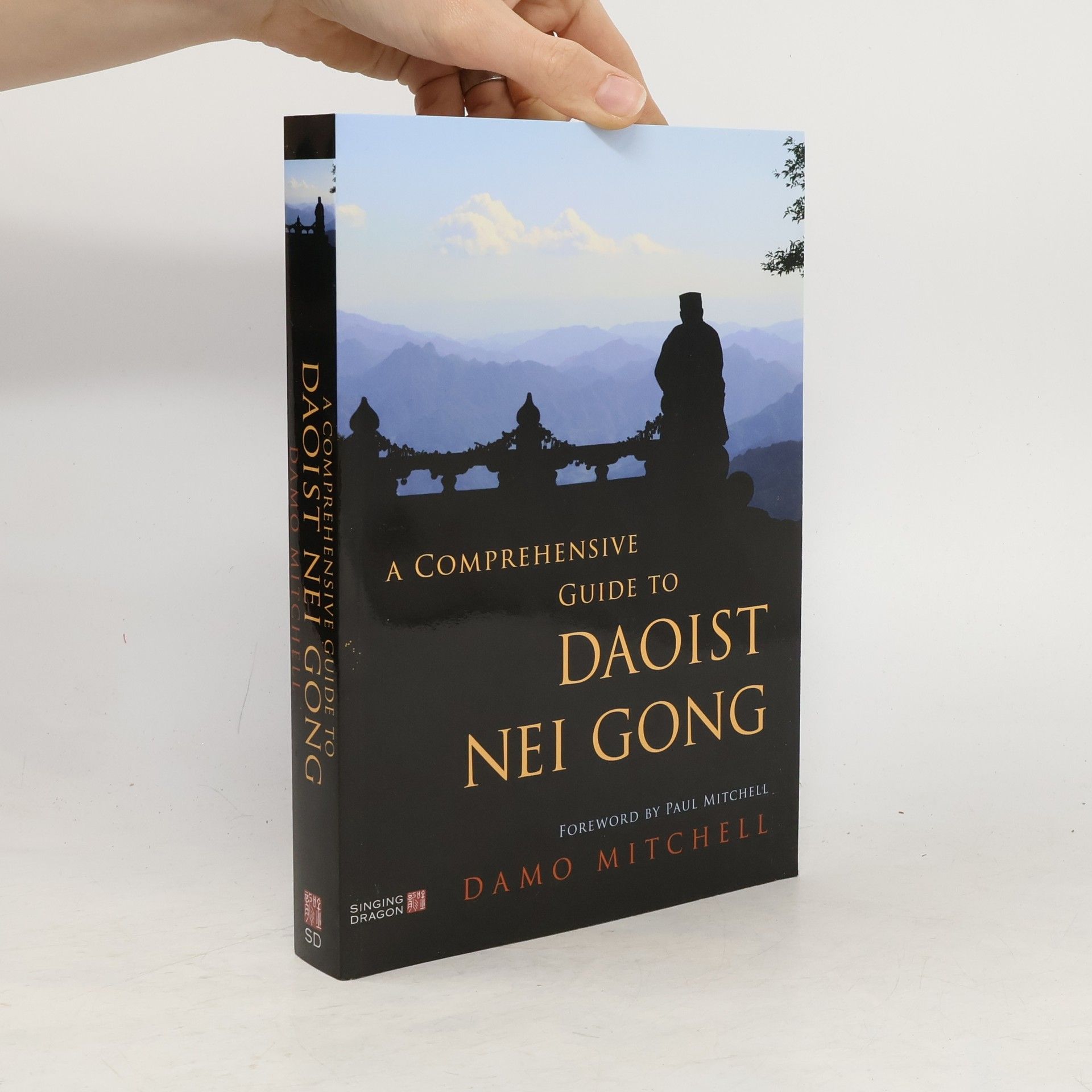 Damo Mitchell A Comprehensive Guide to Daoist Nei Gong