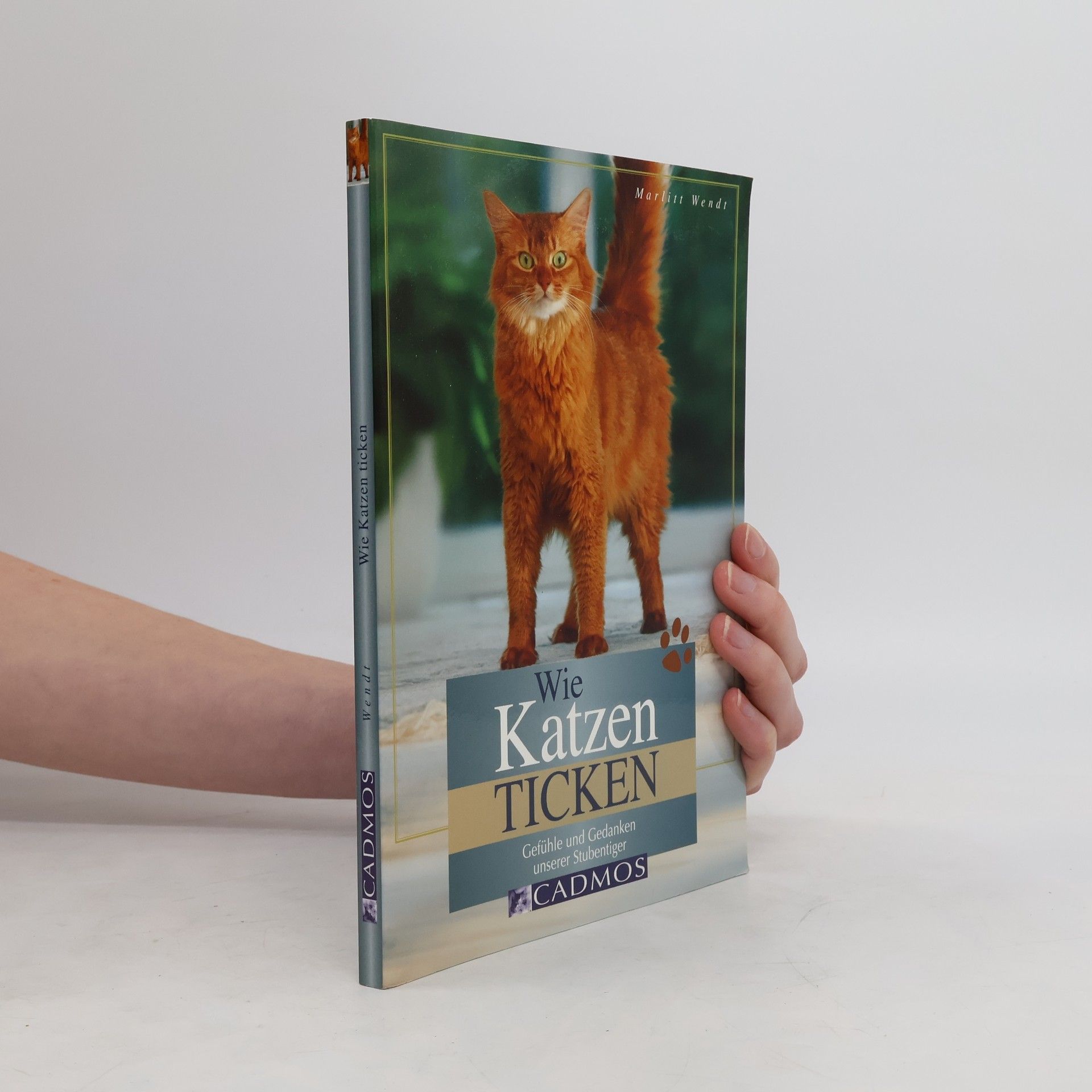 Marlitt Wendt Wie Katzen ticken
