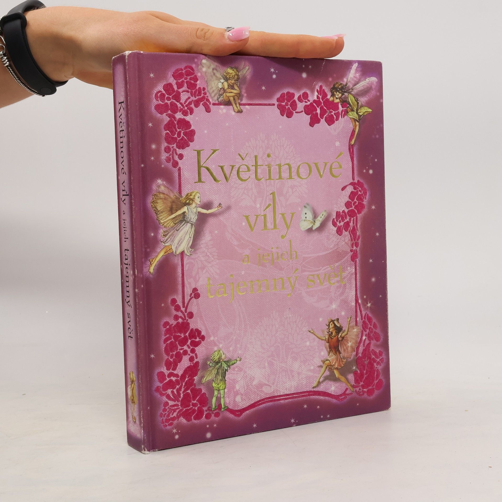 kolektiv Květinové víly a jejich tajemný svět