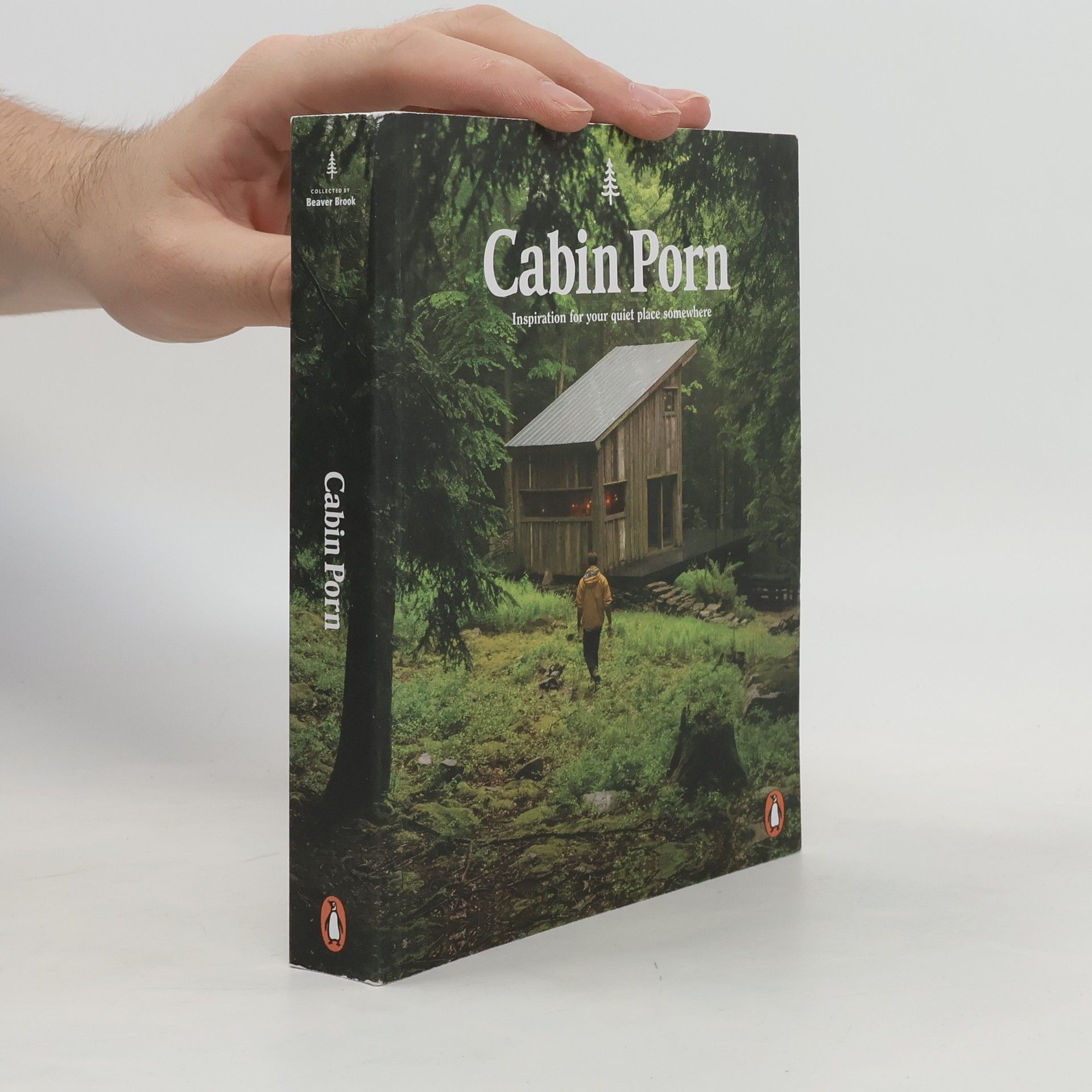 Zach Klein Cabin Porn