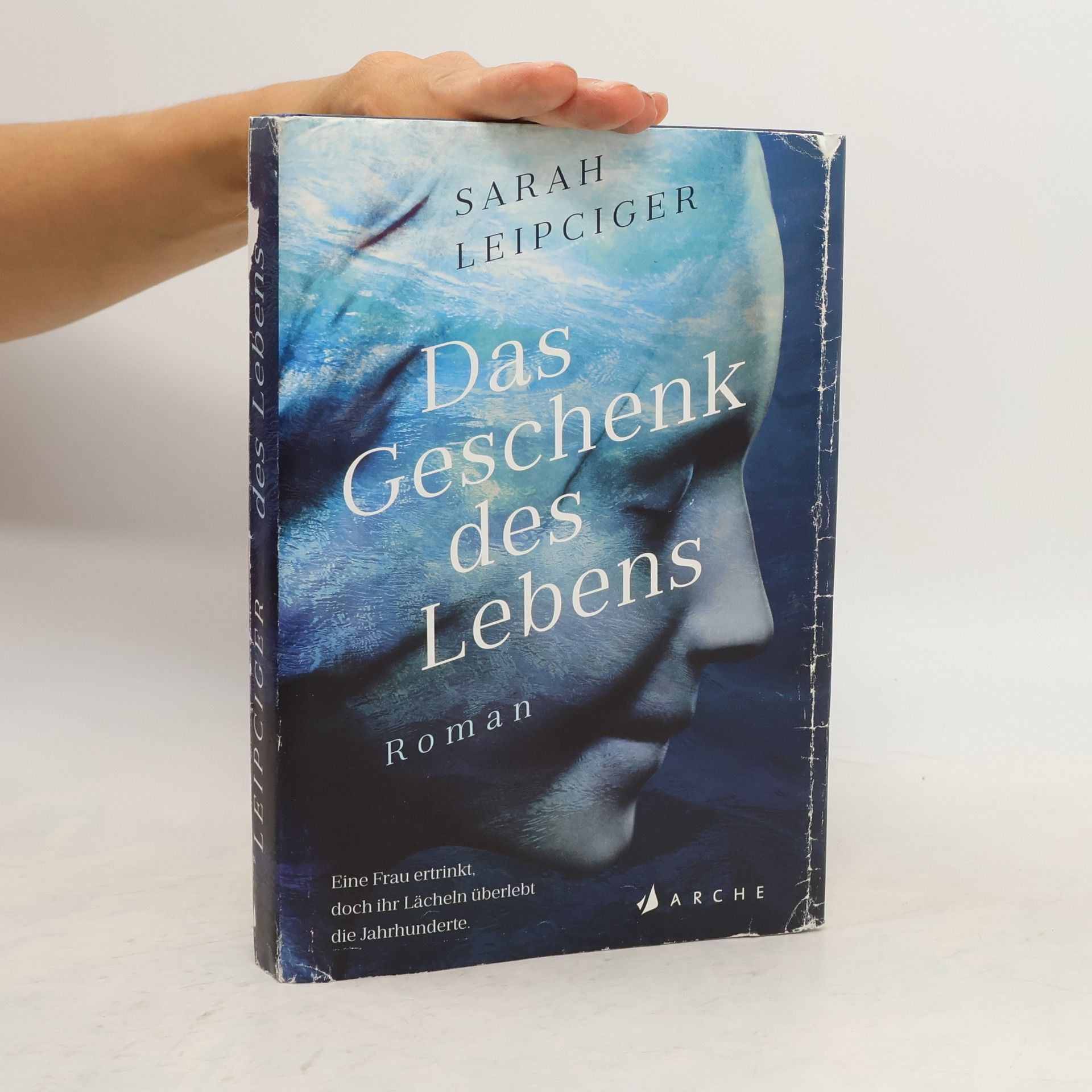 Sarah Leipciger Das Geschenk des Lebens