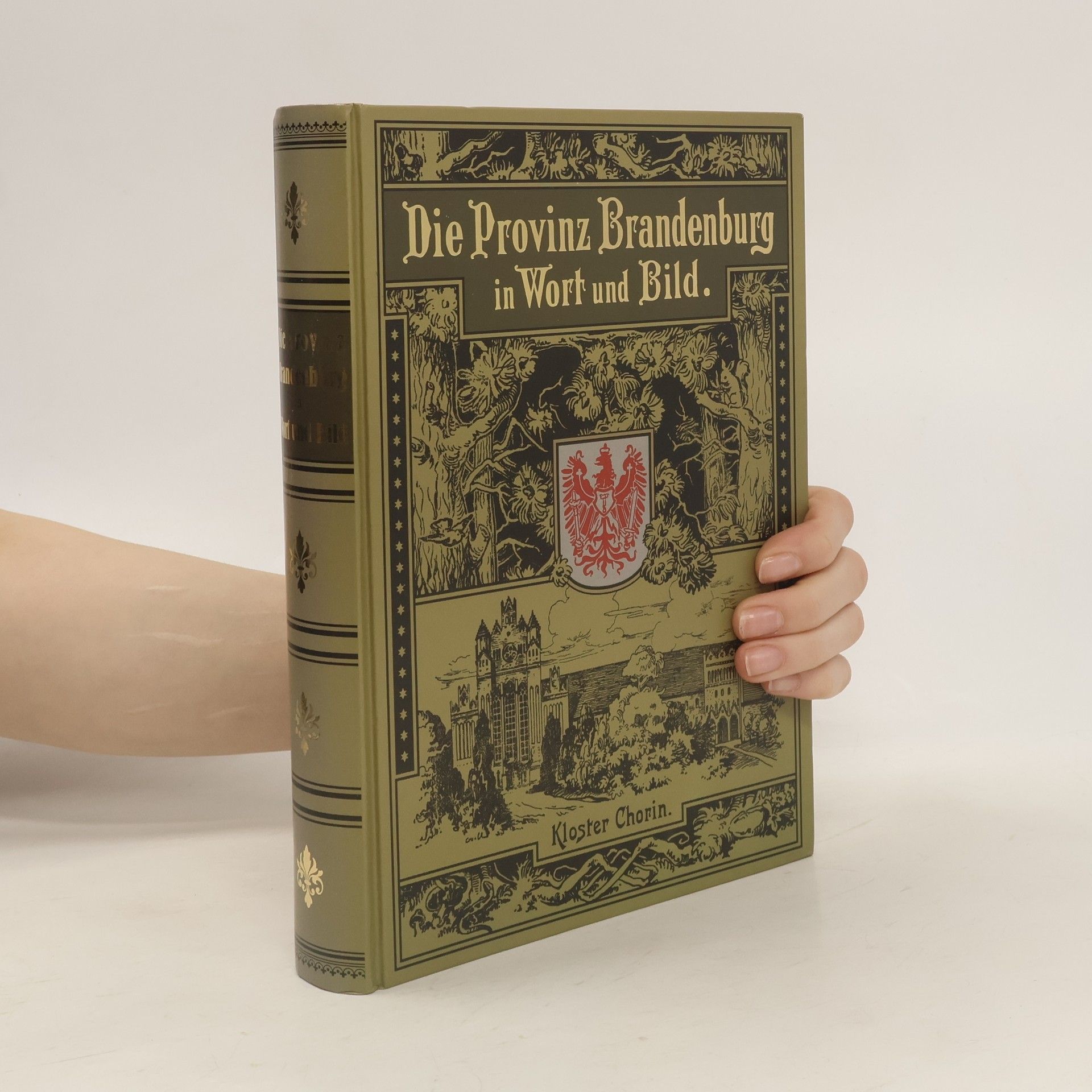 Pestalozzi-Verein der Provinz Brandenburg. Die Provinz Brandenburg in Wort und Bild