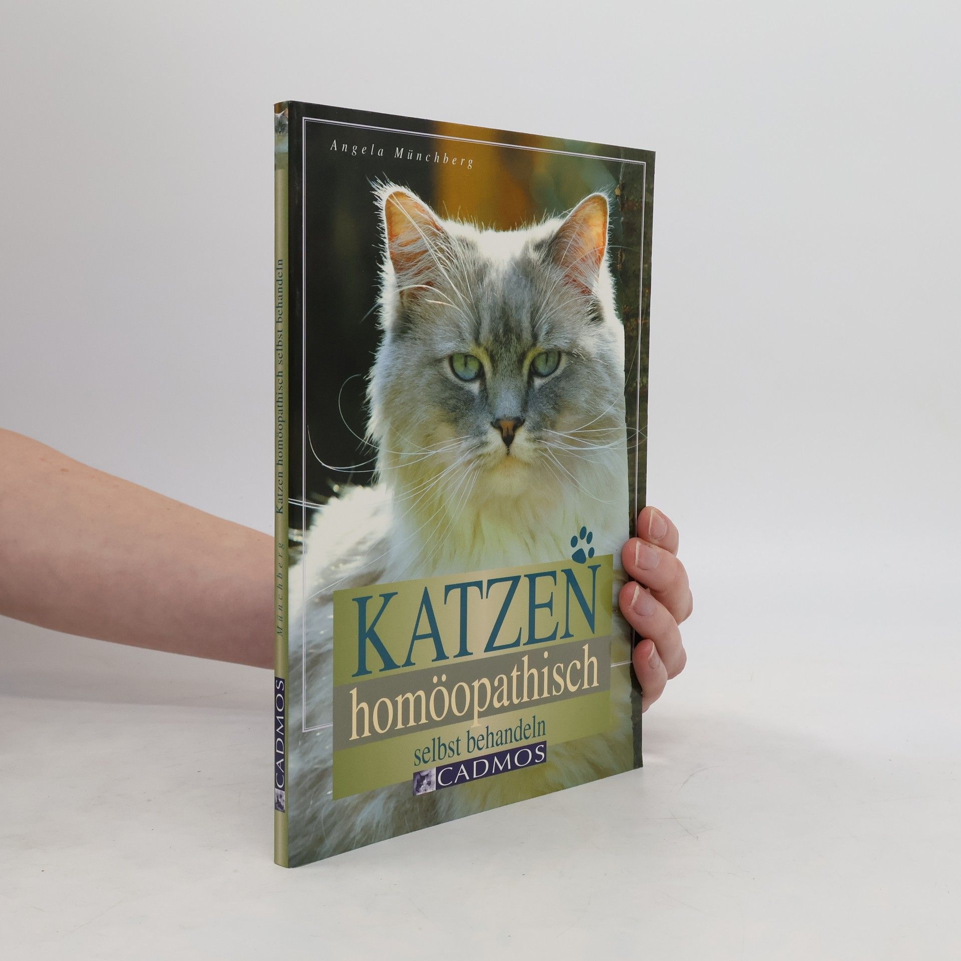 Angela Knocks-Münchberg Katzen homöopathisch selbst behandeln