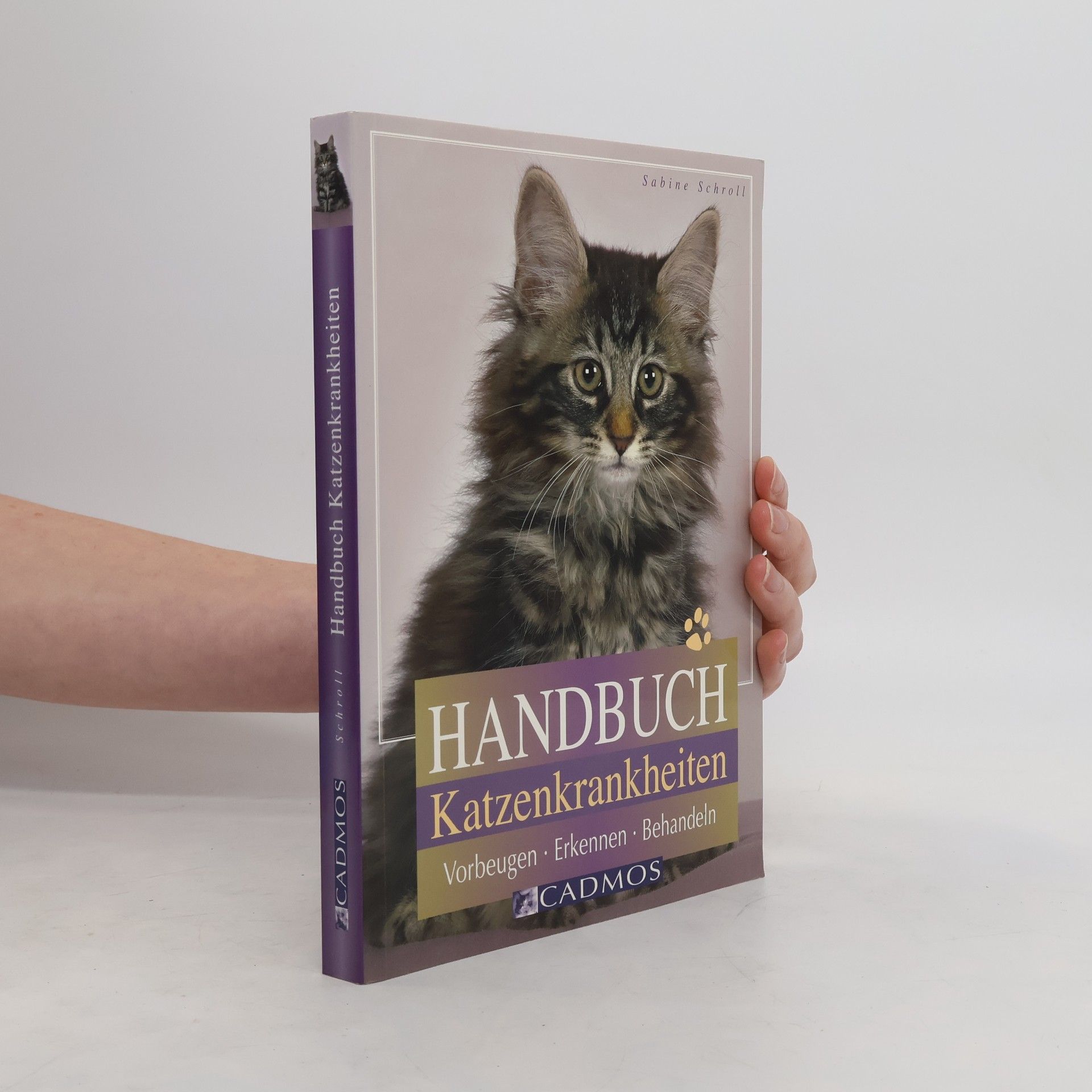 Sabine Schroll Handbuch Katzenkrankheiten. Vorbeugen - Erkennen - Behandeln