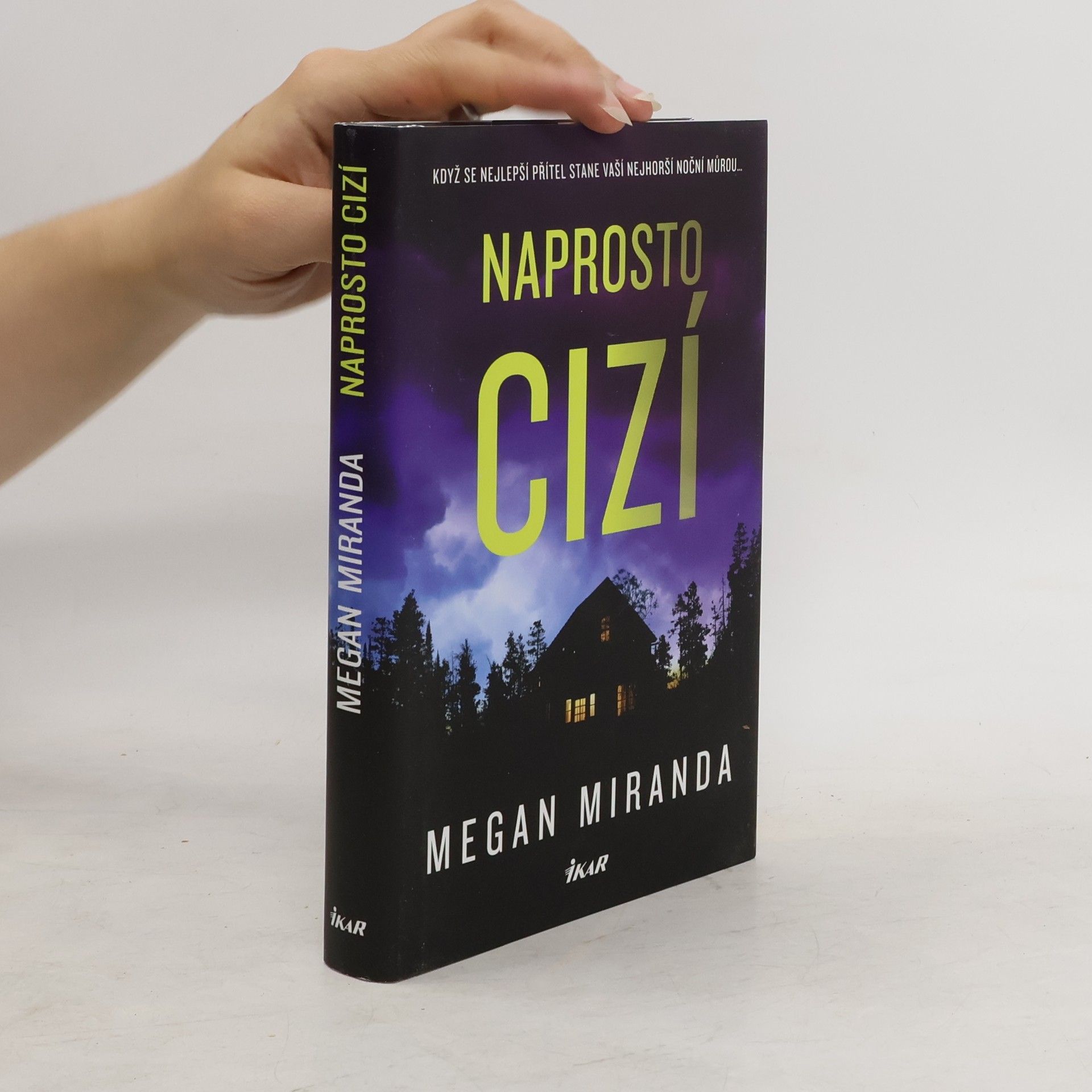 Megan Miranda Naprosto cizí
