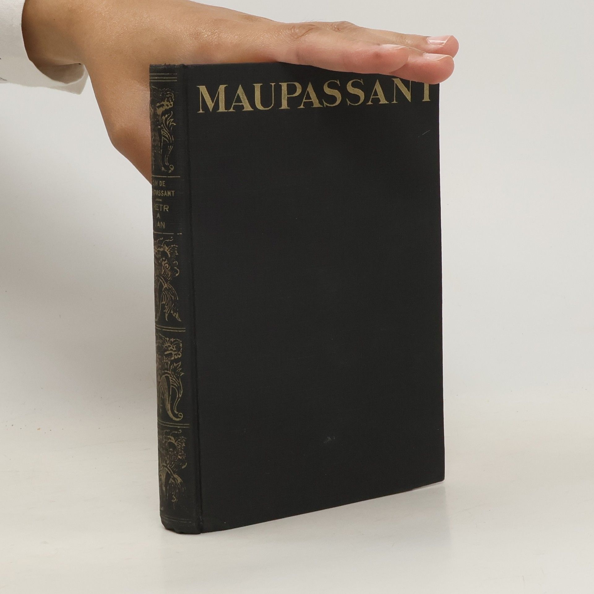 Guy de Maupassant Petr a Jan. Salon paní Tellierové II.