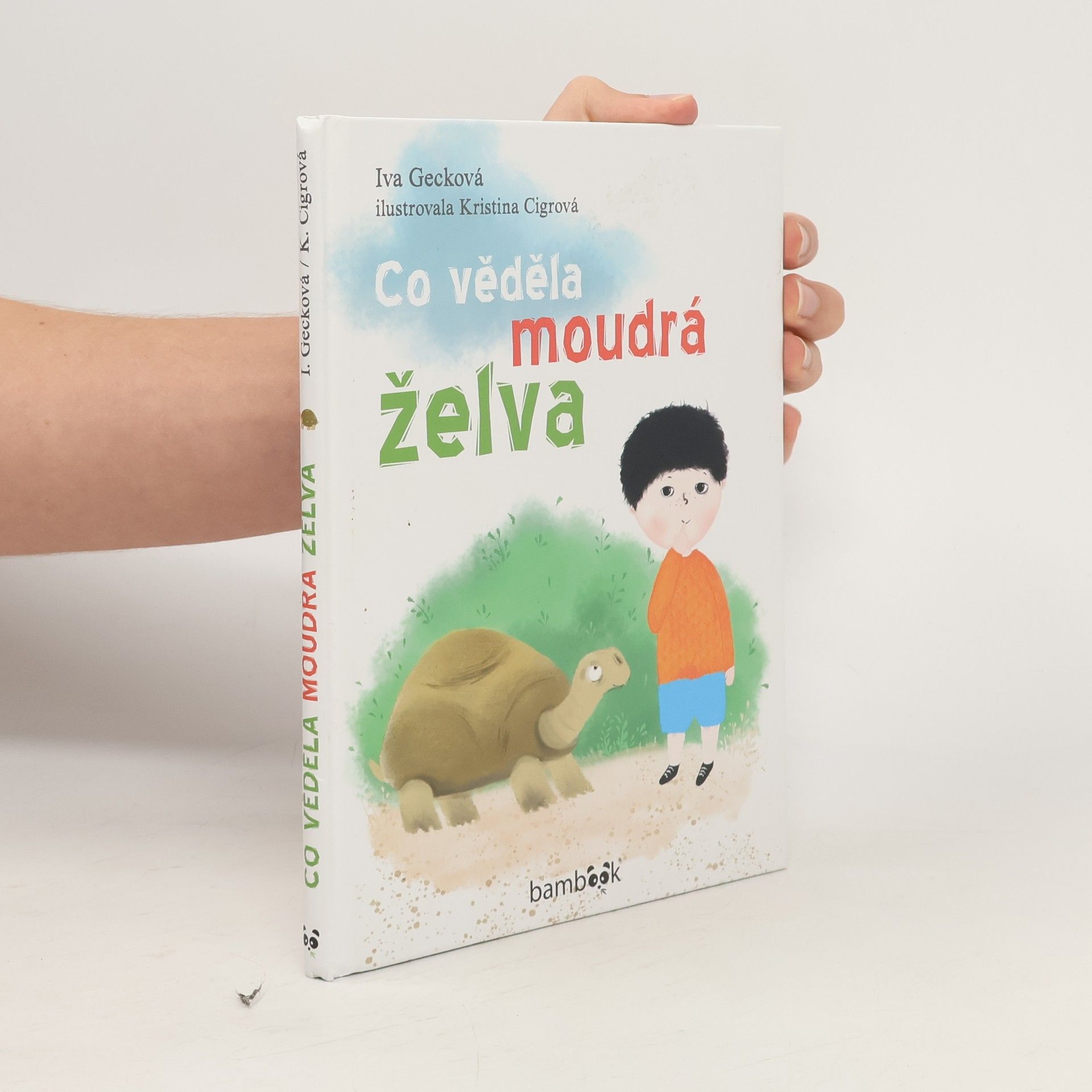 Gecková Iva Co věděla moudrá želva