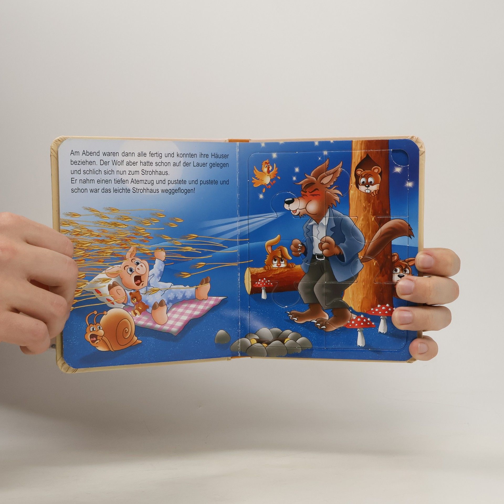 kolektiv Die 3 kleinen Schweinchen
