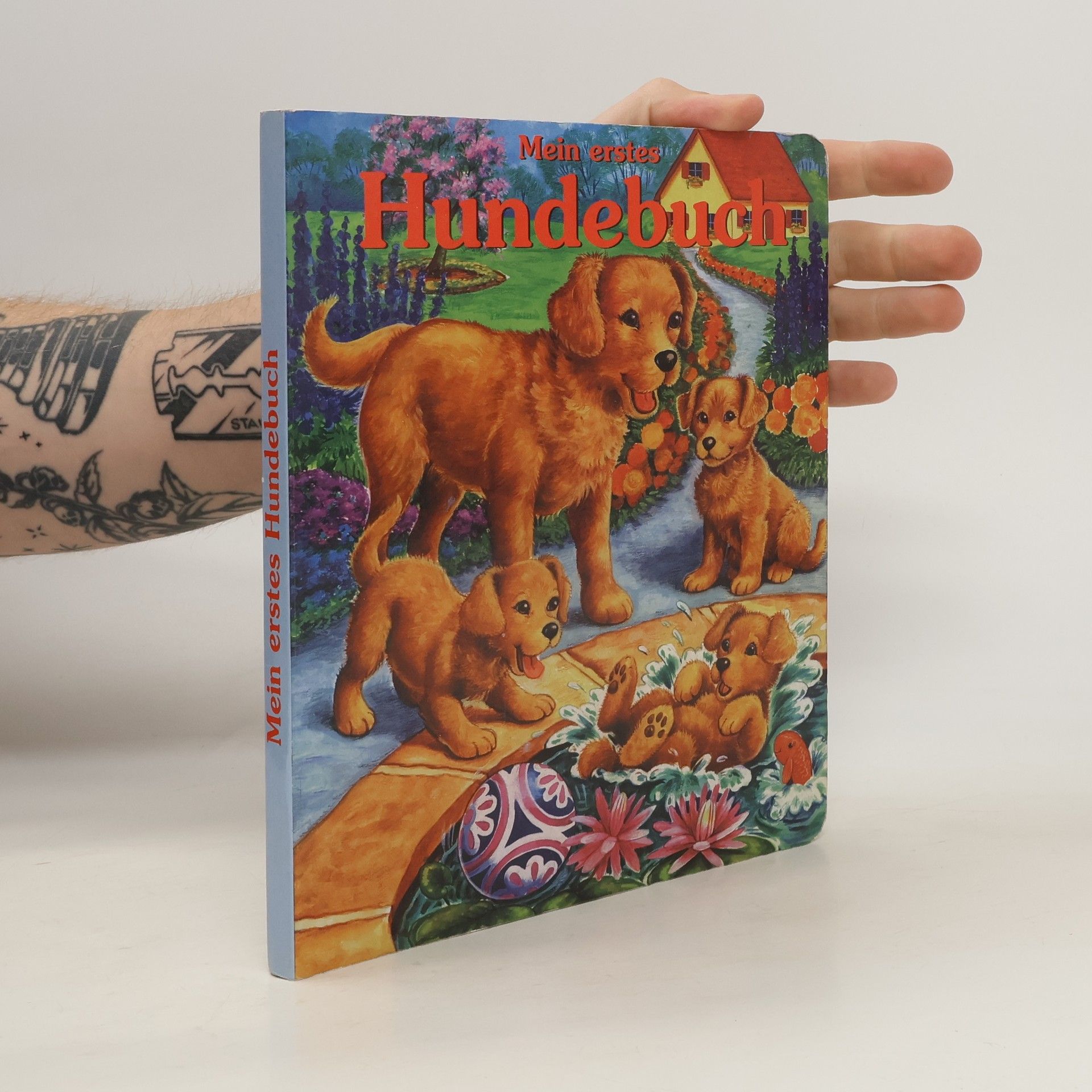 kolektiv Mein erstes Hundebuch