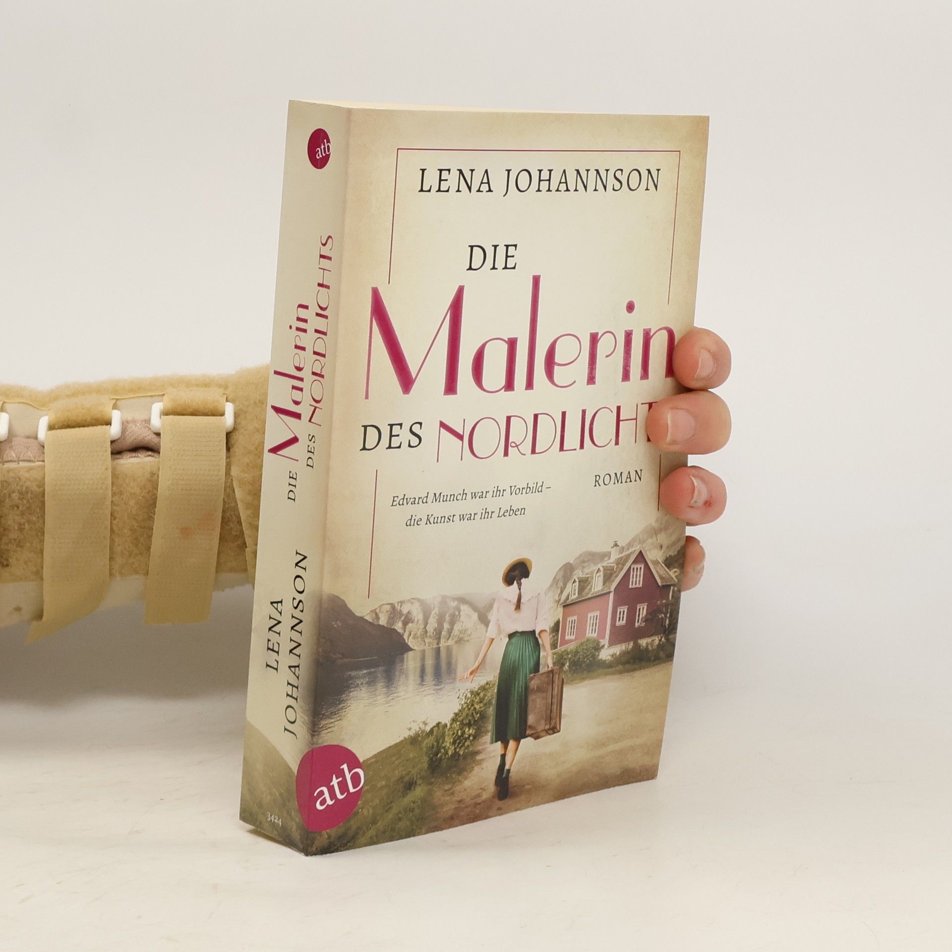 Lena Johannson Die Malerin des Nordlichts