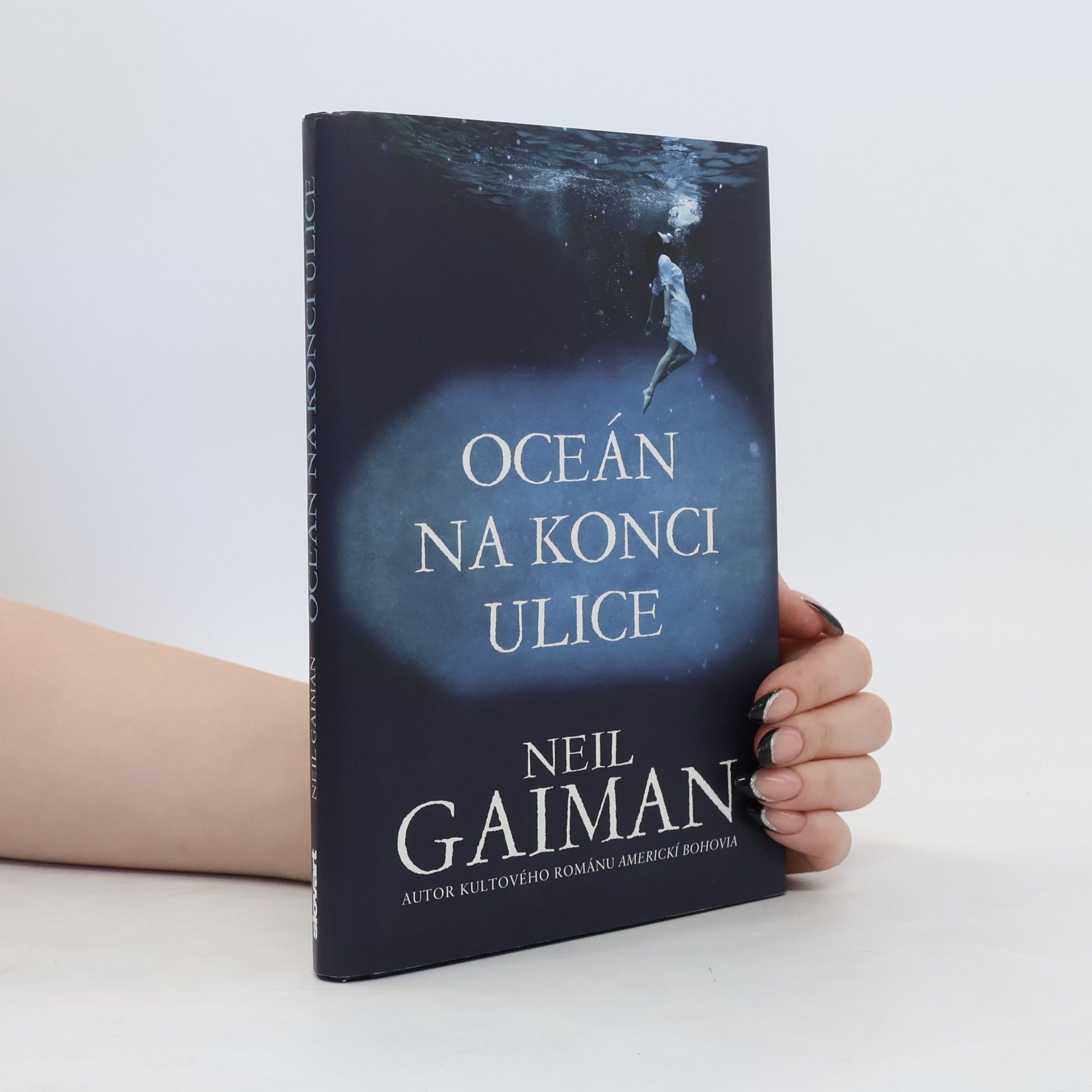 Neil Gaiman Oceán na konci ulice