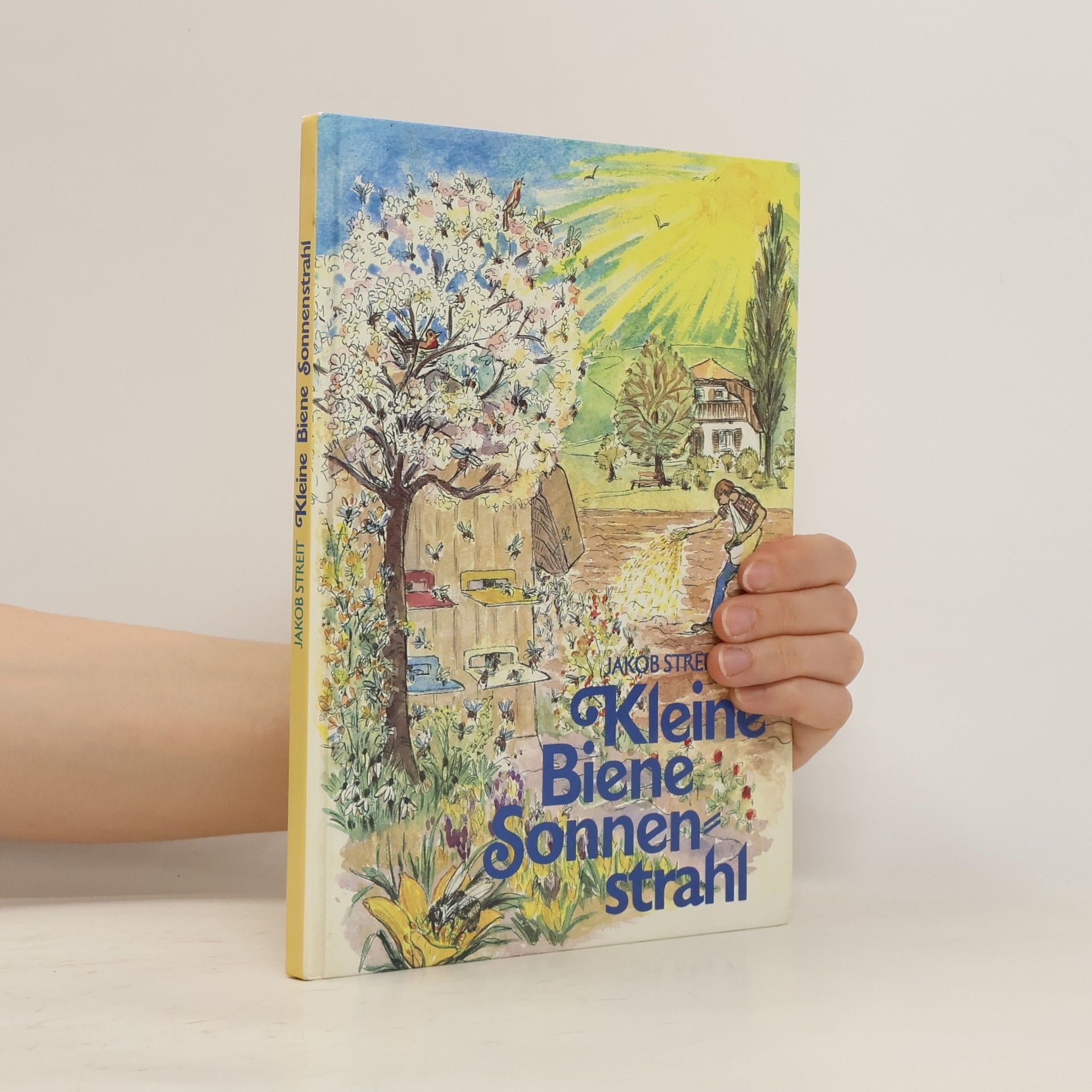 Jakob Streit Kleine Biene Sonnenstrahl