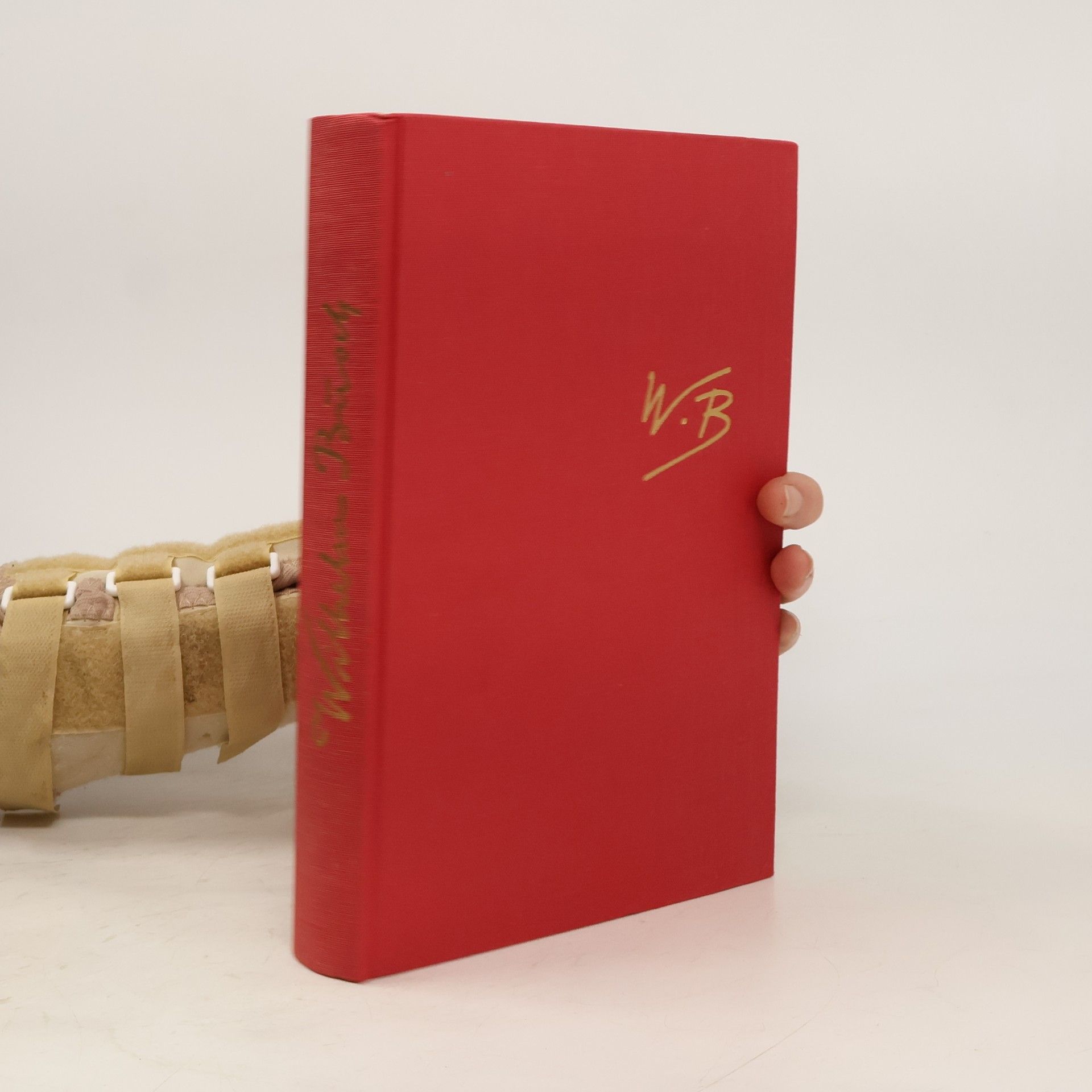 Wilhelm Busch Wilhelm Busch Album. Ein heiteres Hausbuch