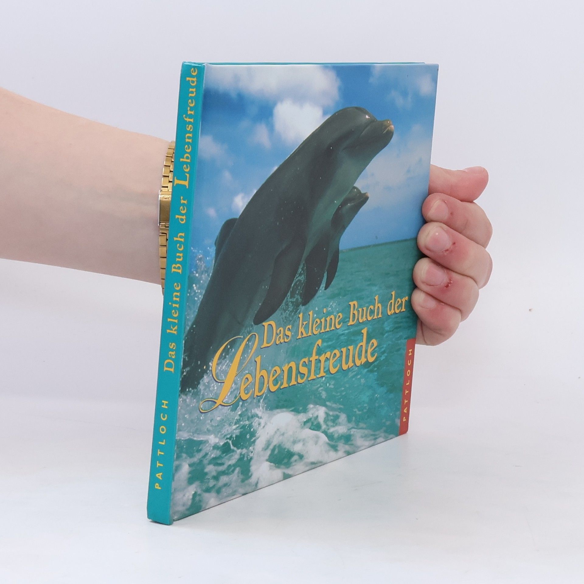 Daniela Meyer Das kleine Buch der Lebensfreude