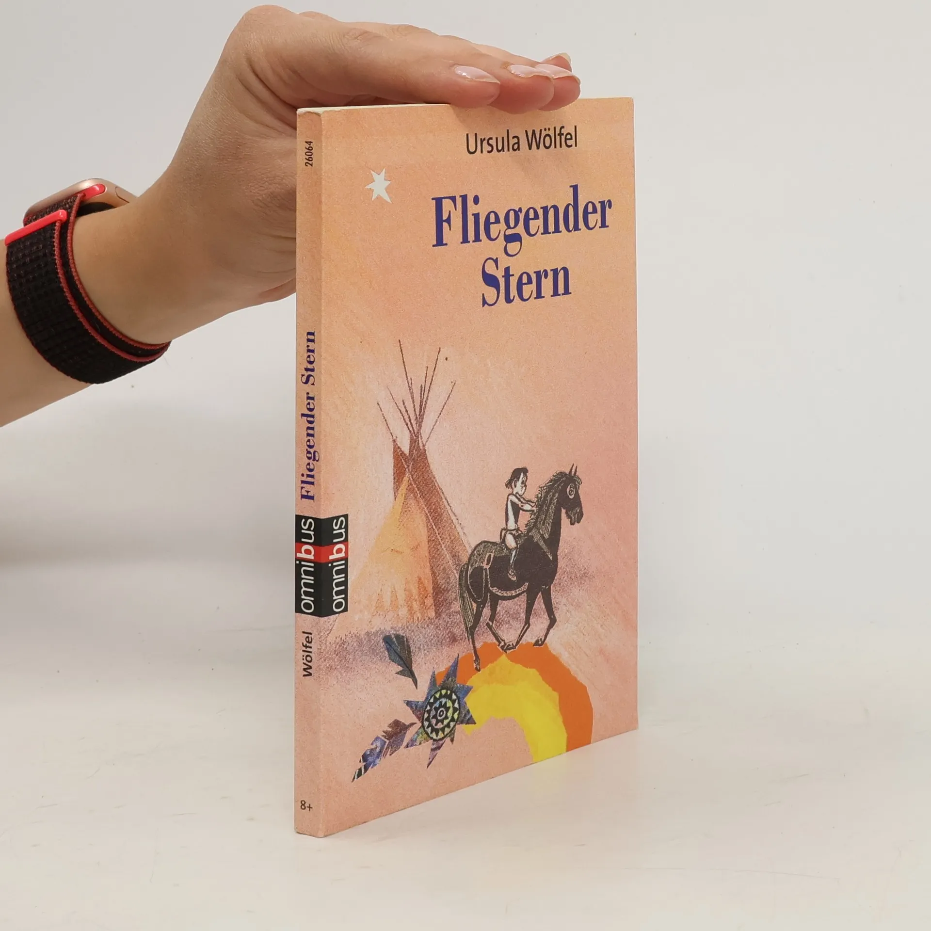 Fliegender Stern | Buch | Ursula Wölfel