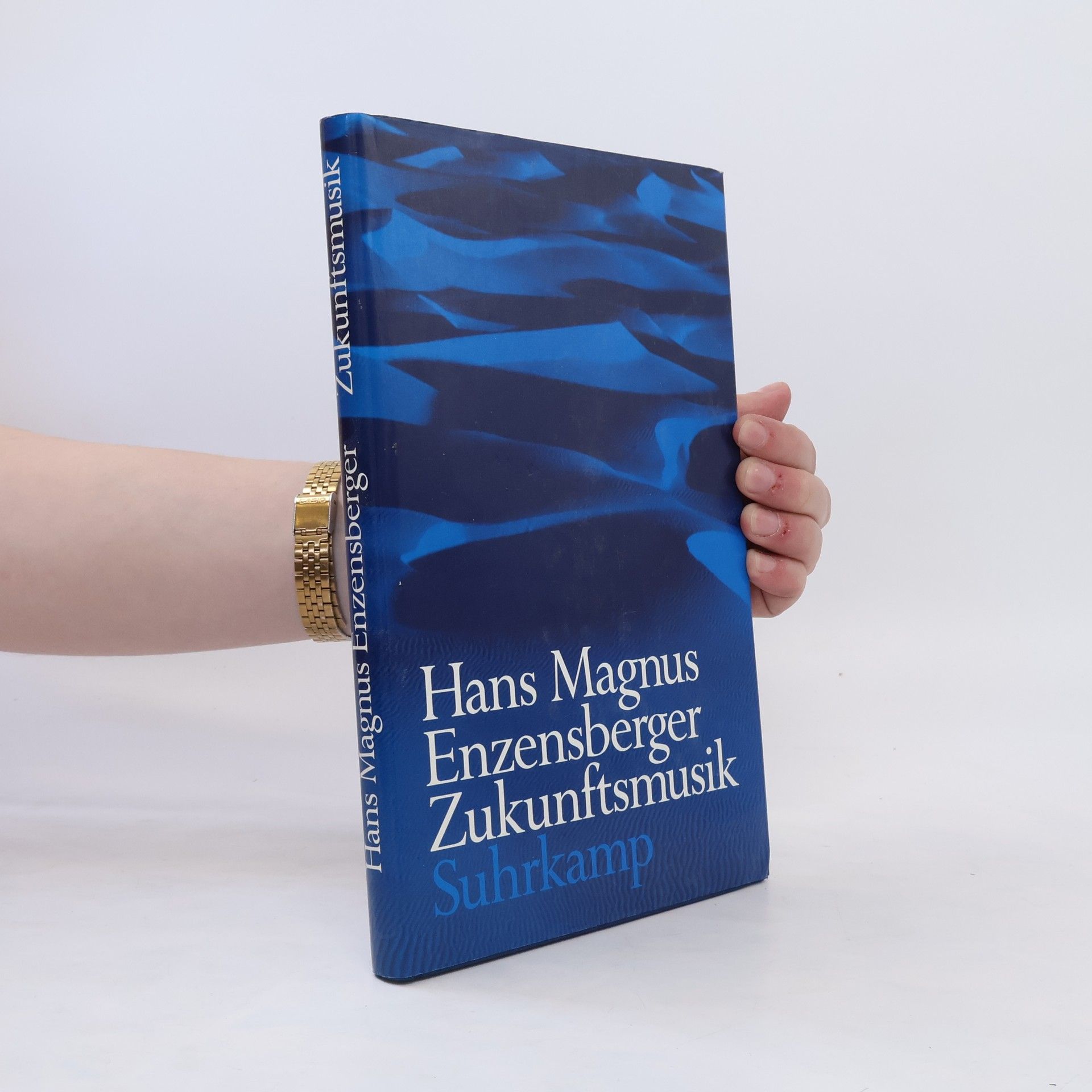 Hans Magnus Enzensberger Zukunftsmusik