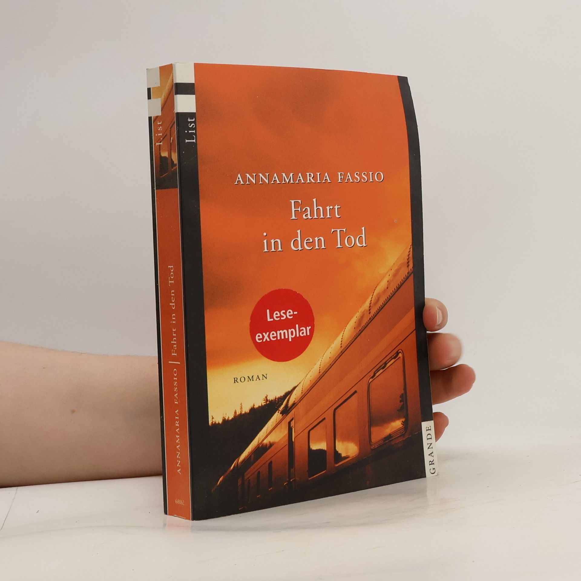 Annamaria Fassio Fahrt in den Tod