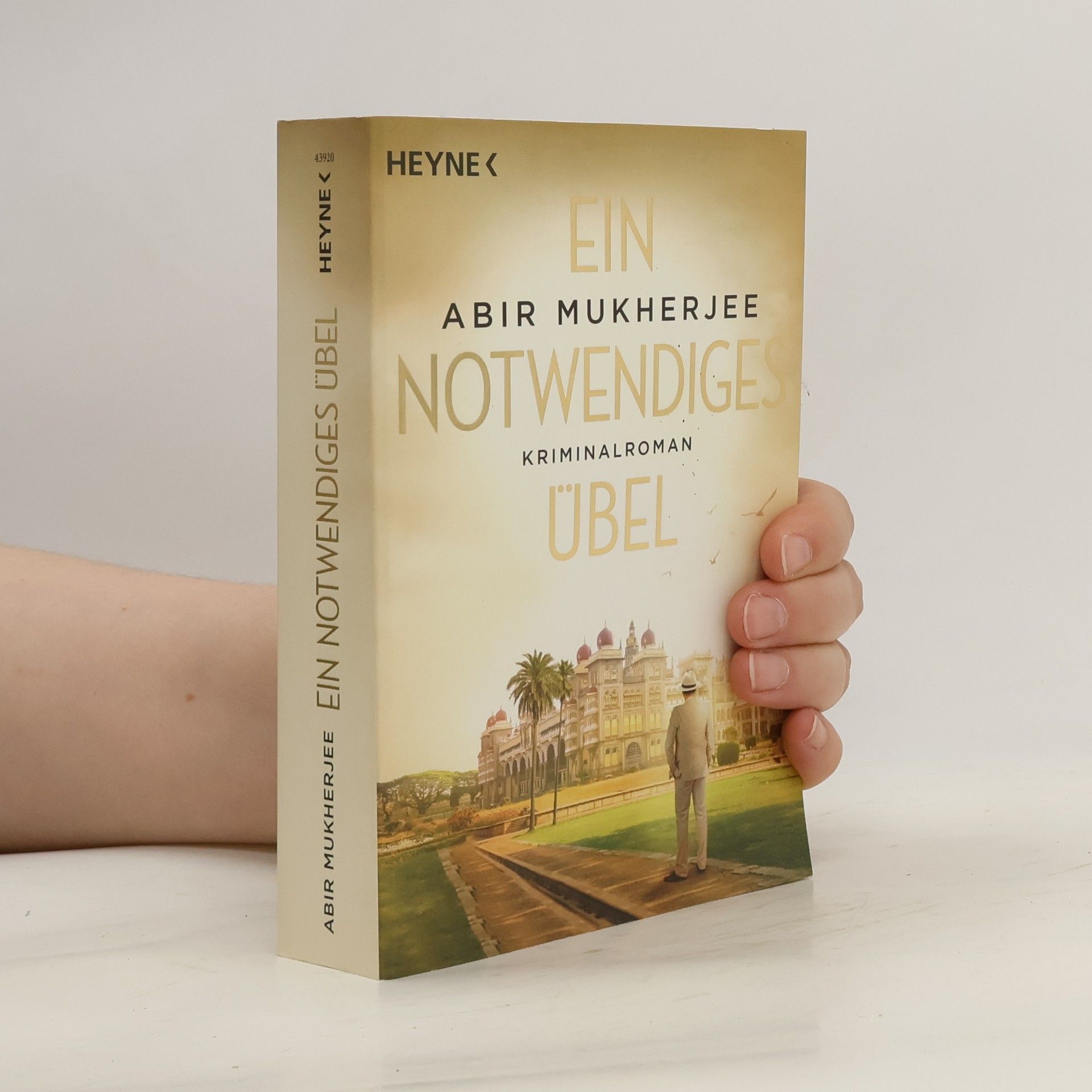 Abir Mukherjee Ein notwendiges Übel