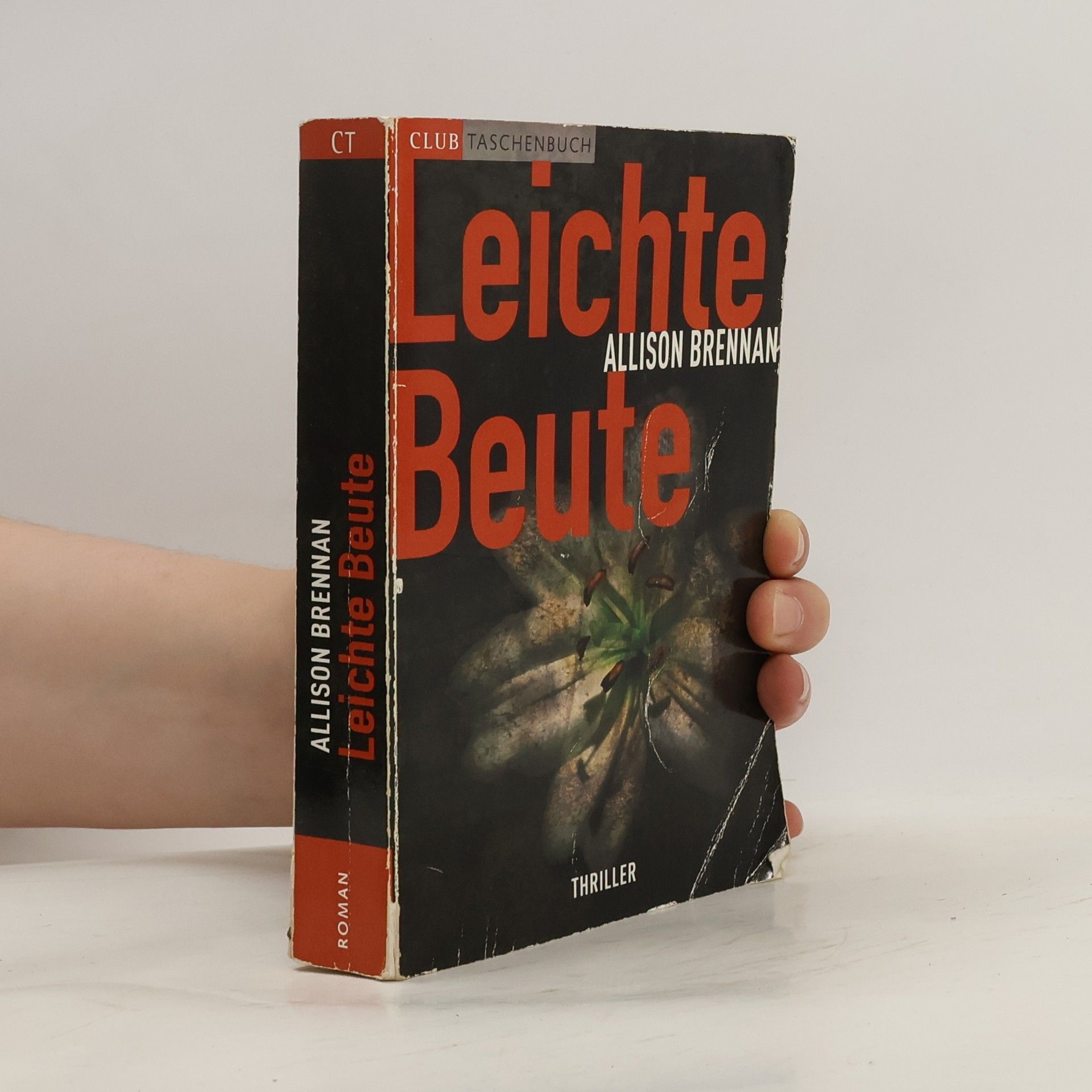 Allison Brennan Leichte Beute