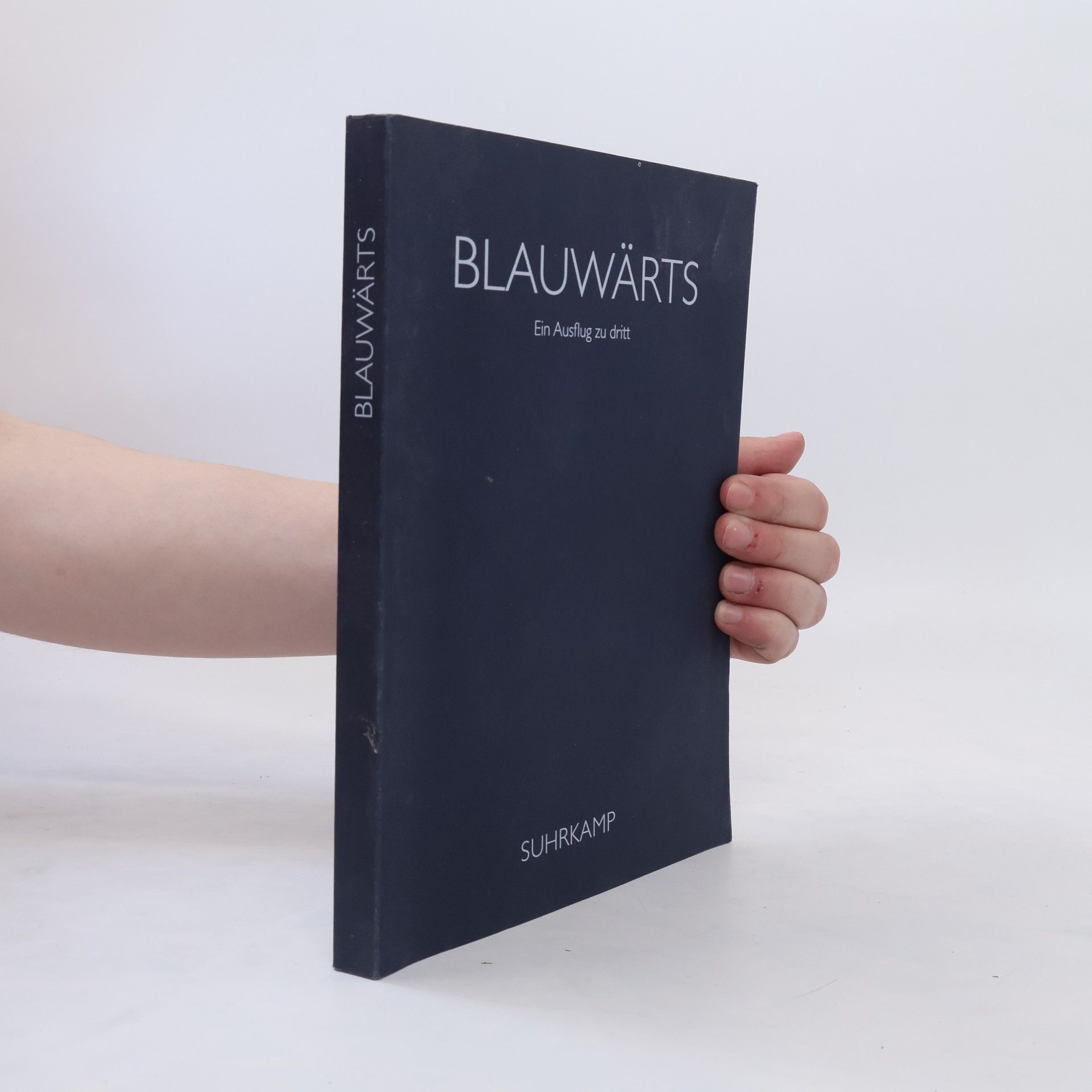 Hans Magnus Enzensberger Blauwärts