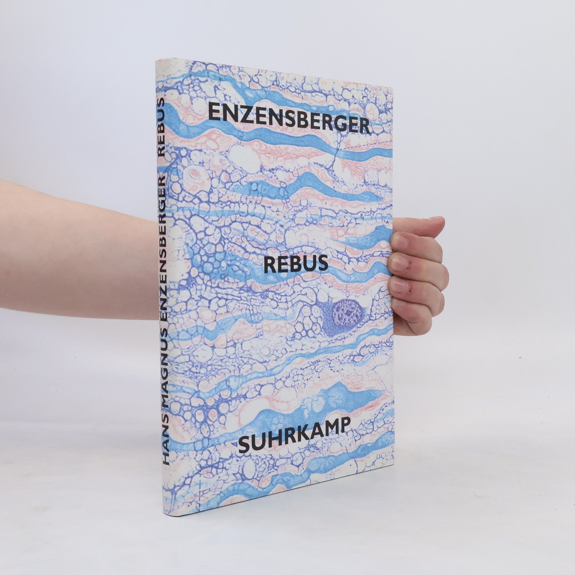 Hans Magnus Enzensberger Rebus