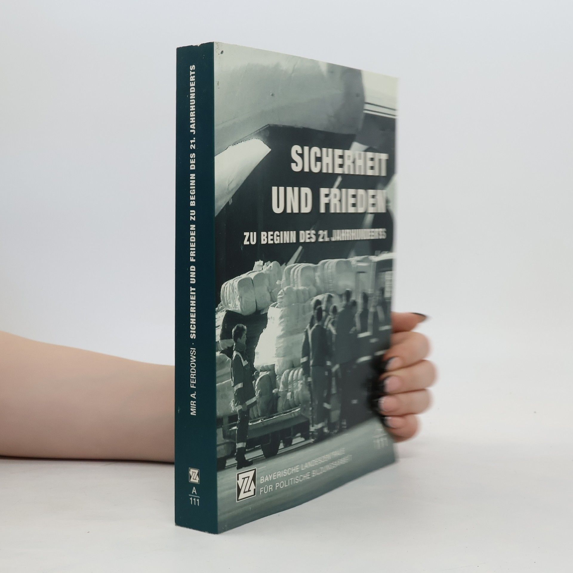 Collectif d'auteurs Sicherheit und Frieden zu Beginn des 21. Jahrhunderts
