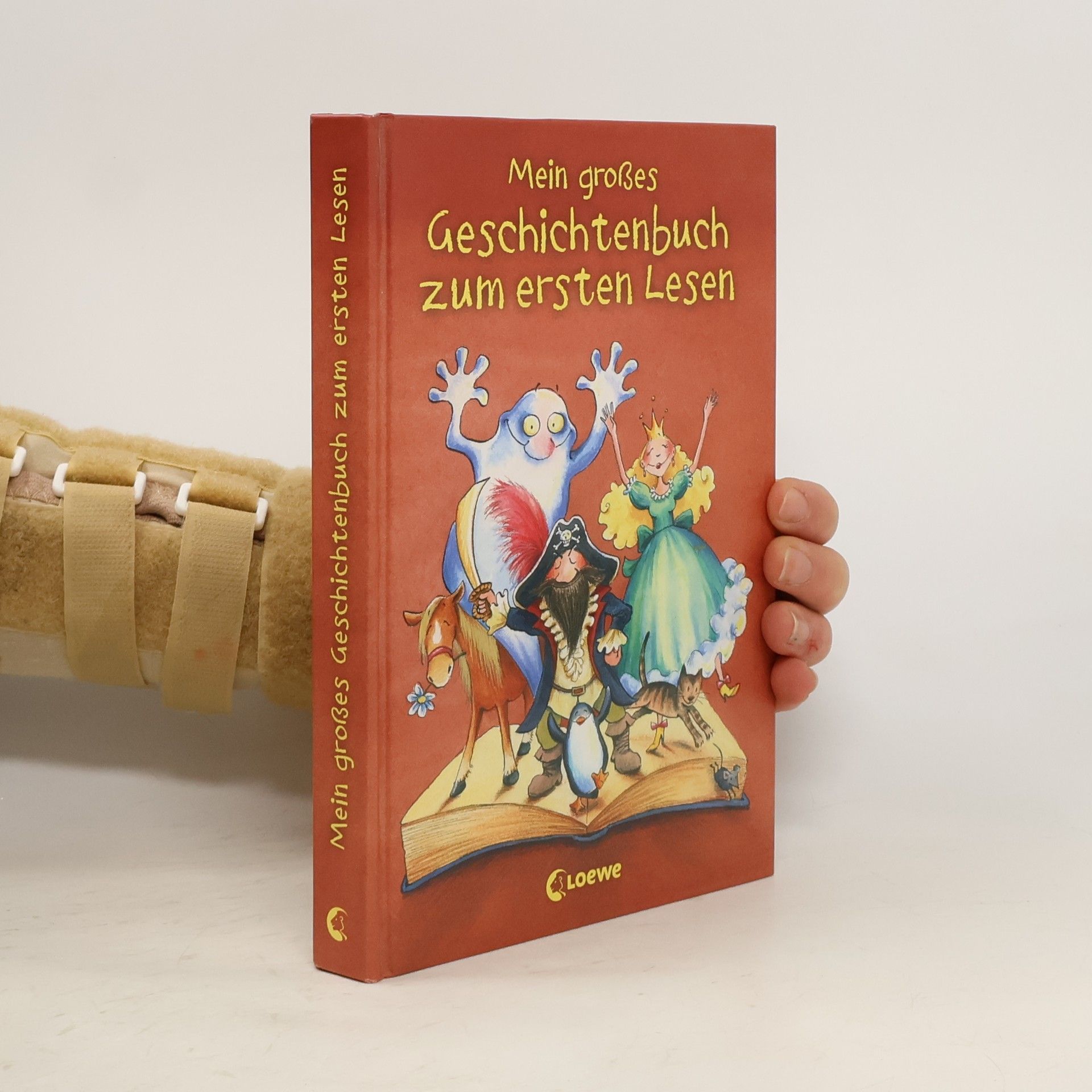 Autorenkollektiv Mein großes Geschichtenbuch zum ersten Lesen