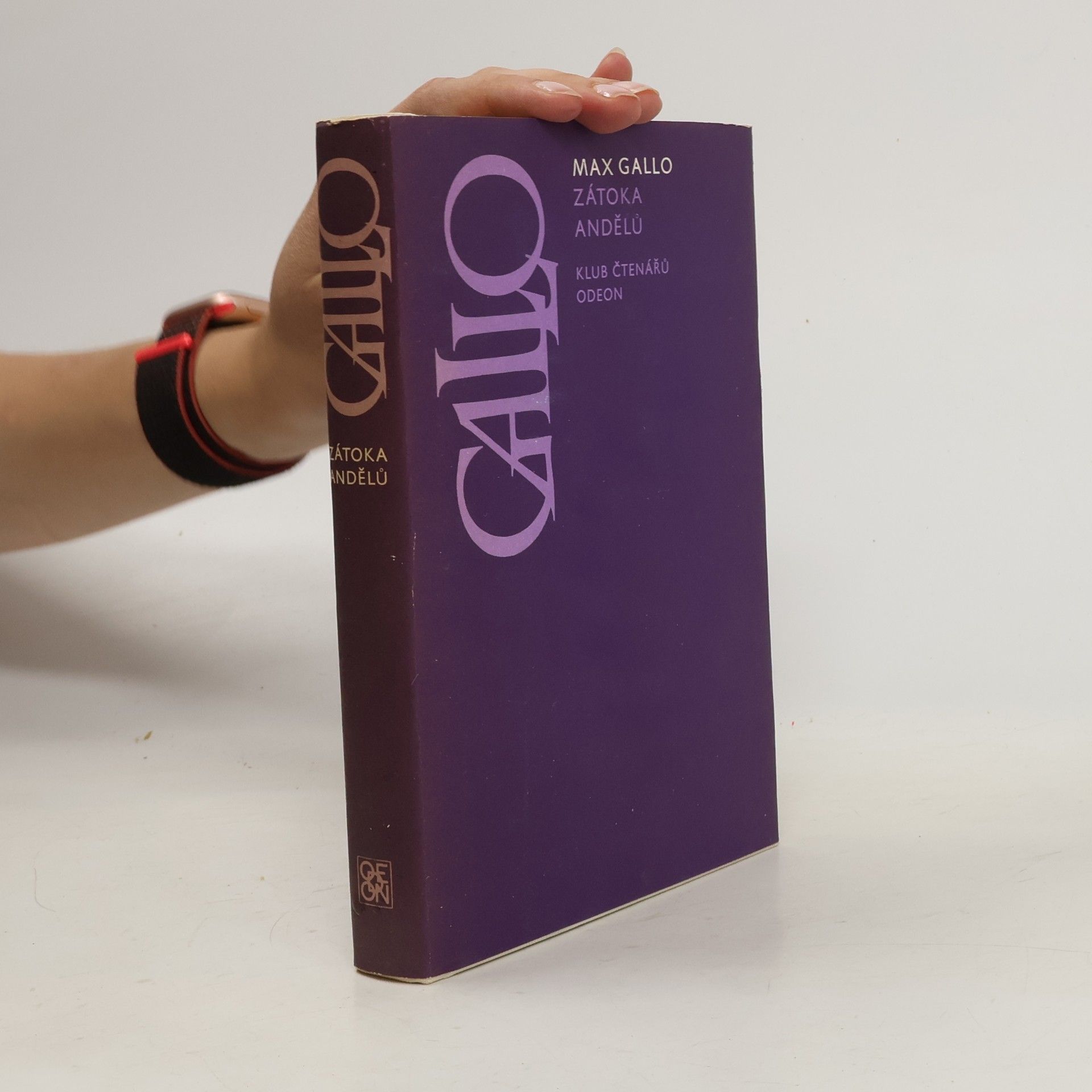 Max Gallo Zátoka andělů