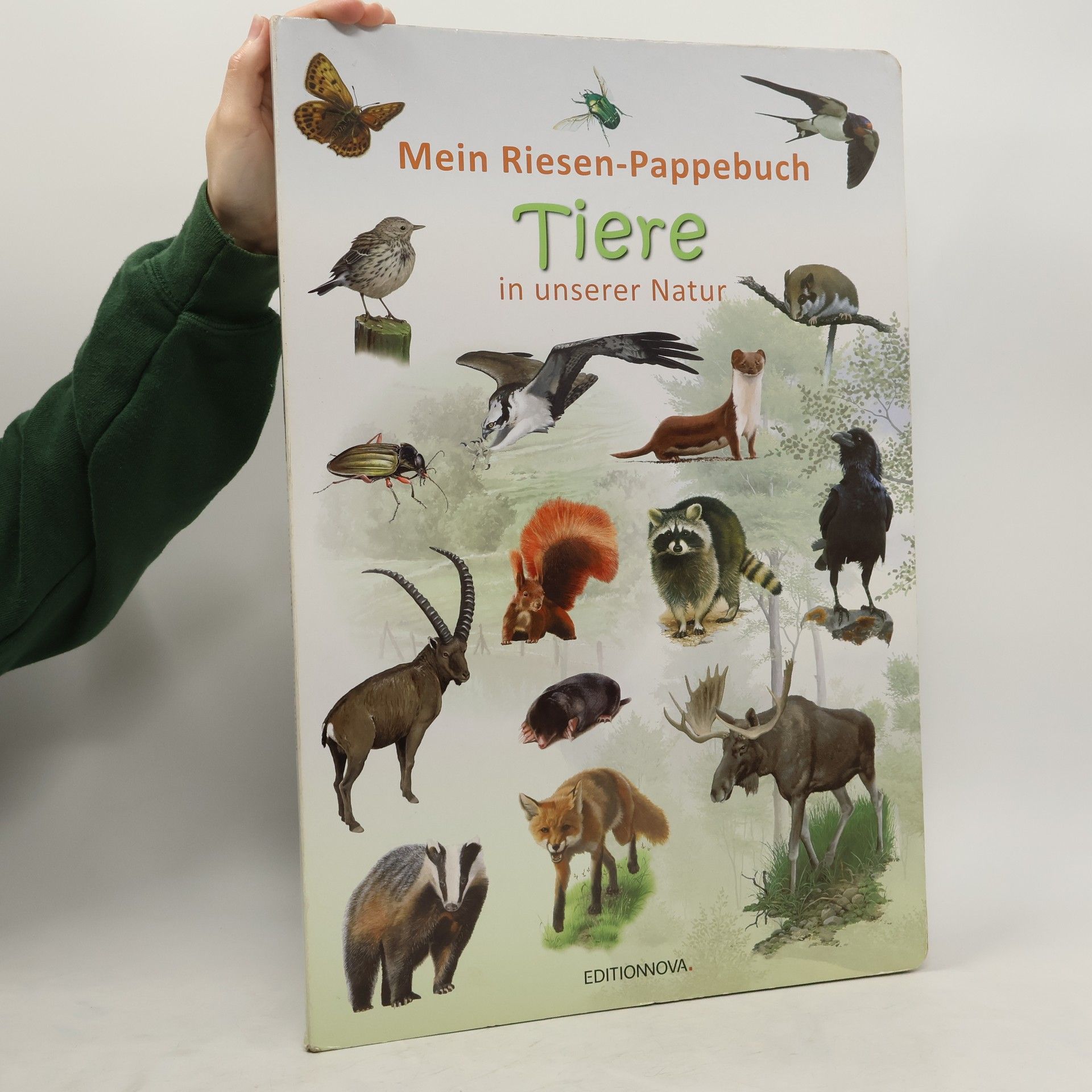 Autorenkollektiv Mein Riesen-Pappebuch Tiere in unserer Natur