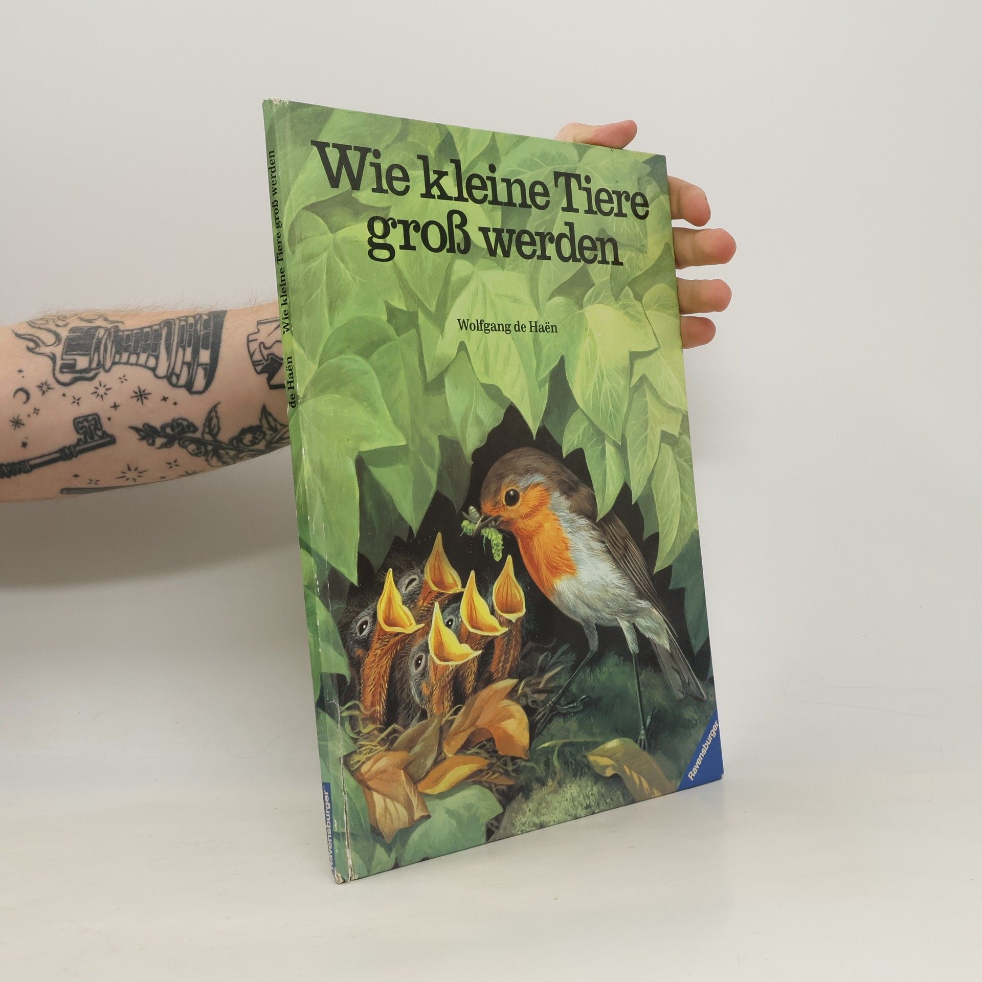 Wolfgang de Haen Wie kleine Tiere gross werden