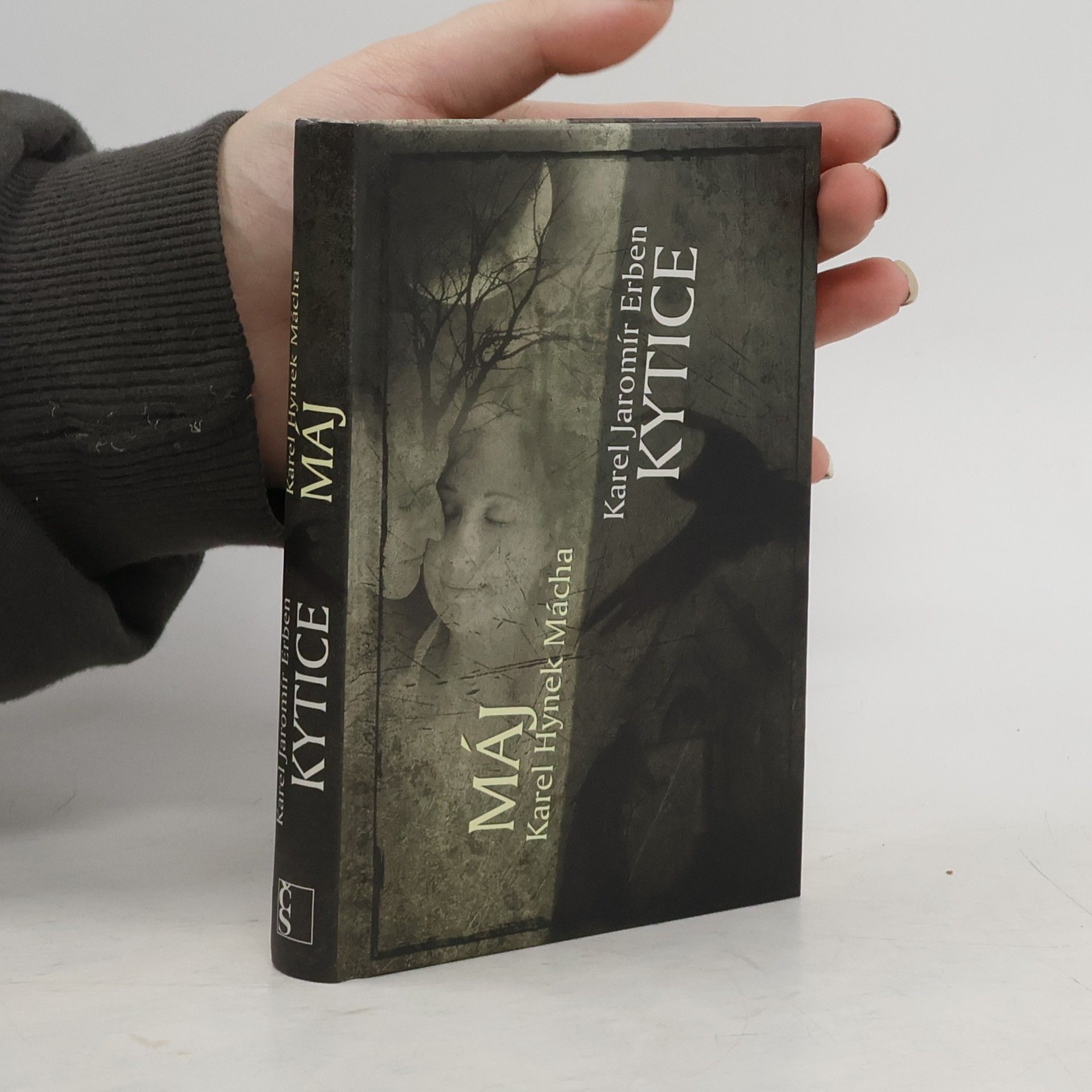 Karel Hynek Mácha Máj. Kytice