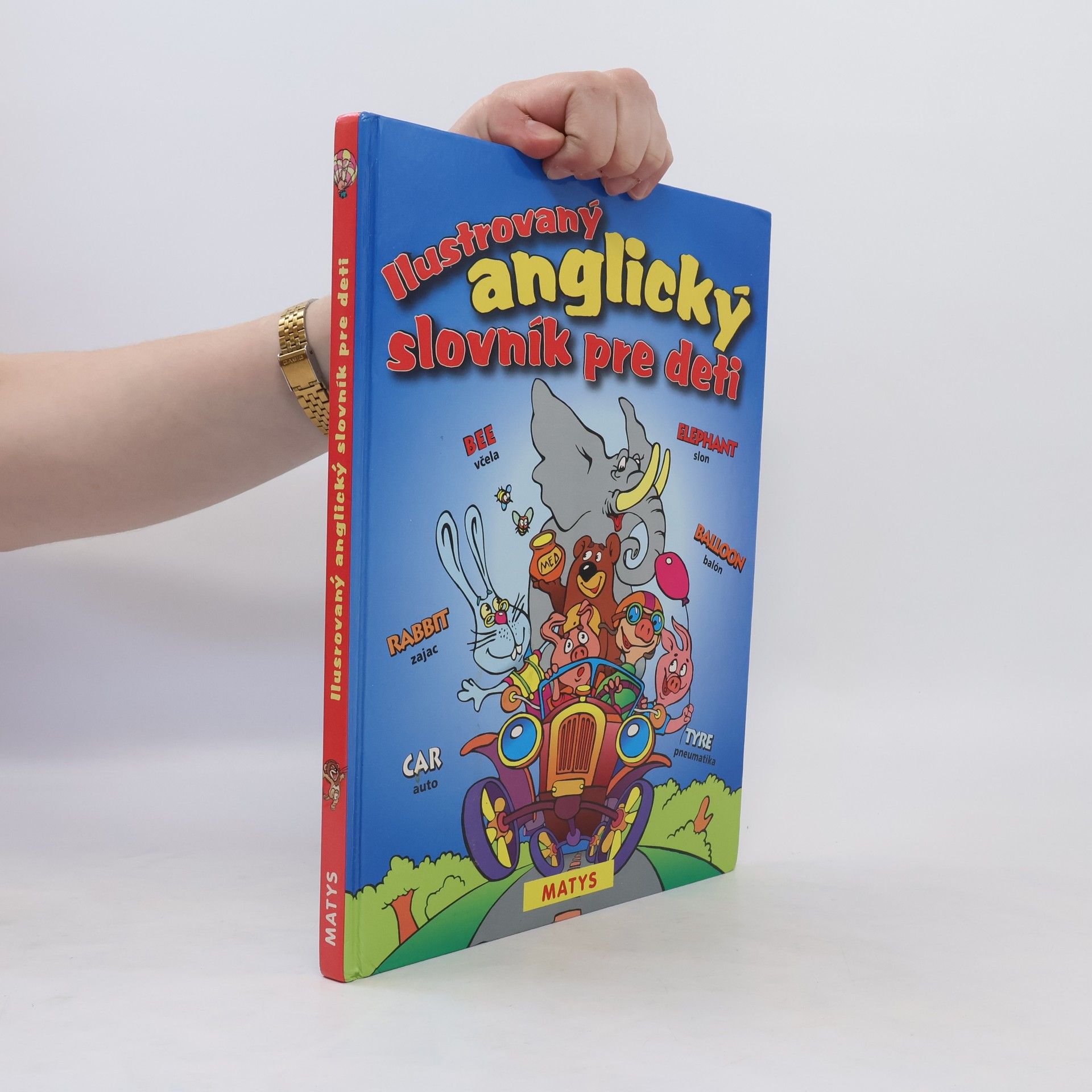 Autorenkollektiv Ilustrovaný anglický slovník pre deti