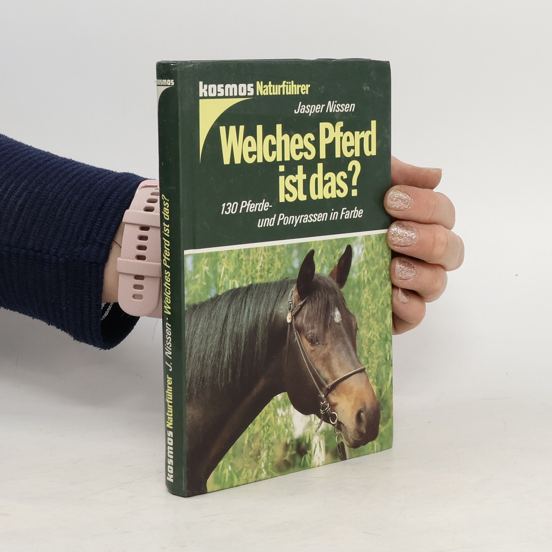Jasper Nissen Welches Pferd ist das?