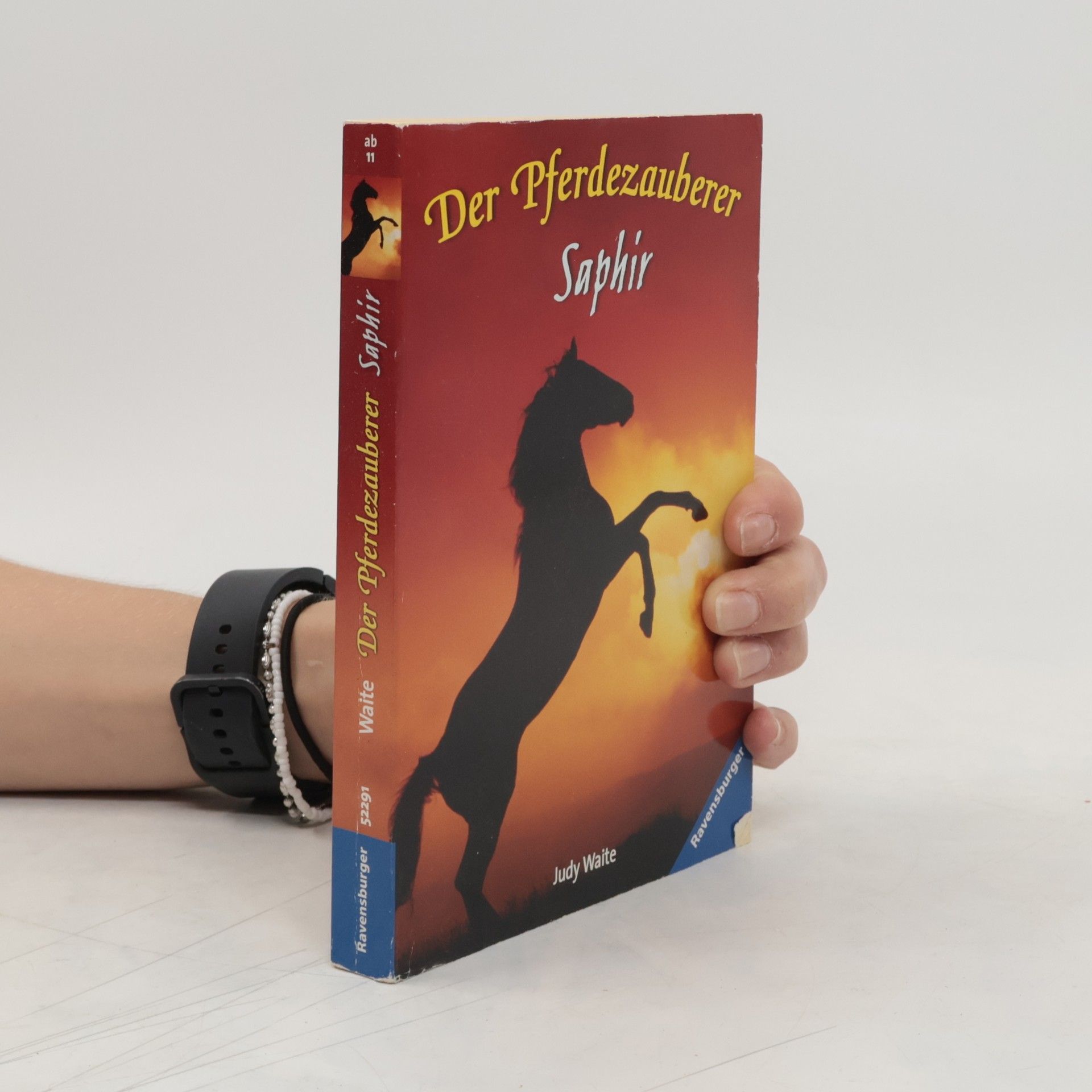 Judy Waite Der Pferdezauberer