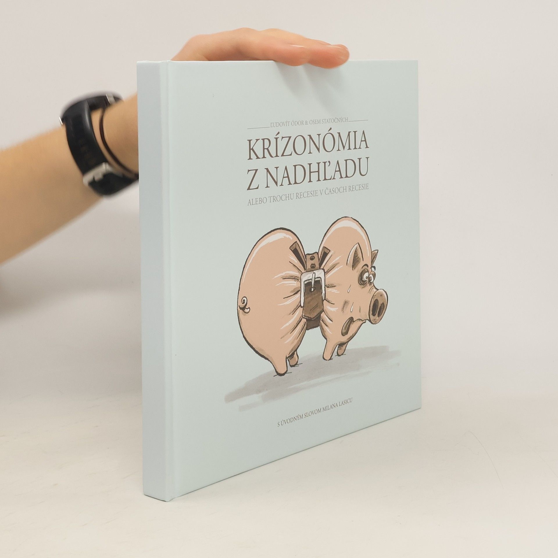 Ľudovít Ódor Krízonómia z nadhľadu  alebo Trochu recesie v časoch recesie