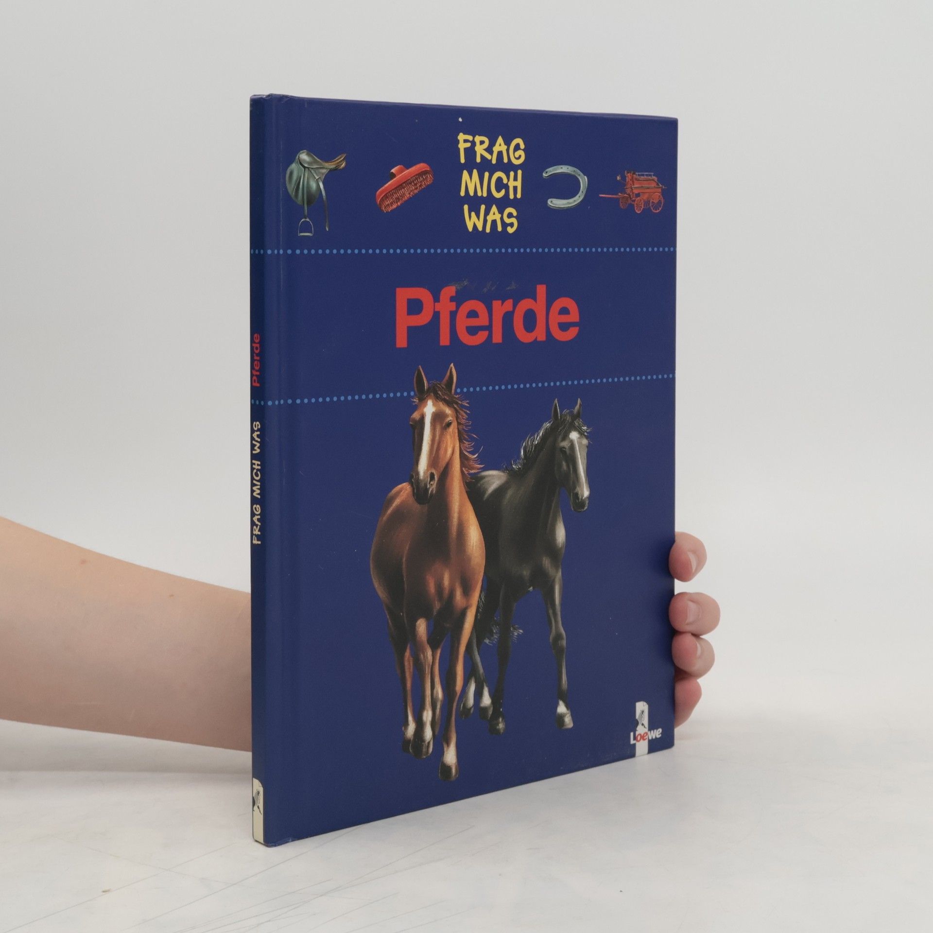 Marilis Lunkenbein Pferde