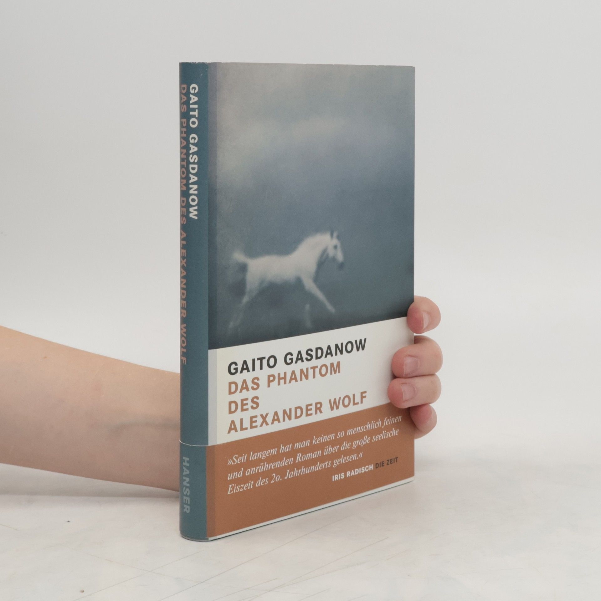 Gaito Gazdanov Das Phantom des Alexander Wolf
