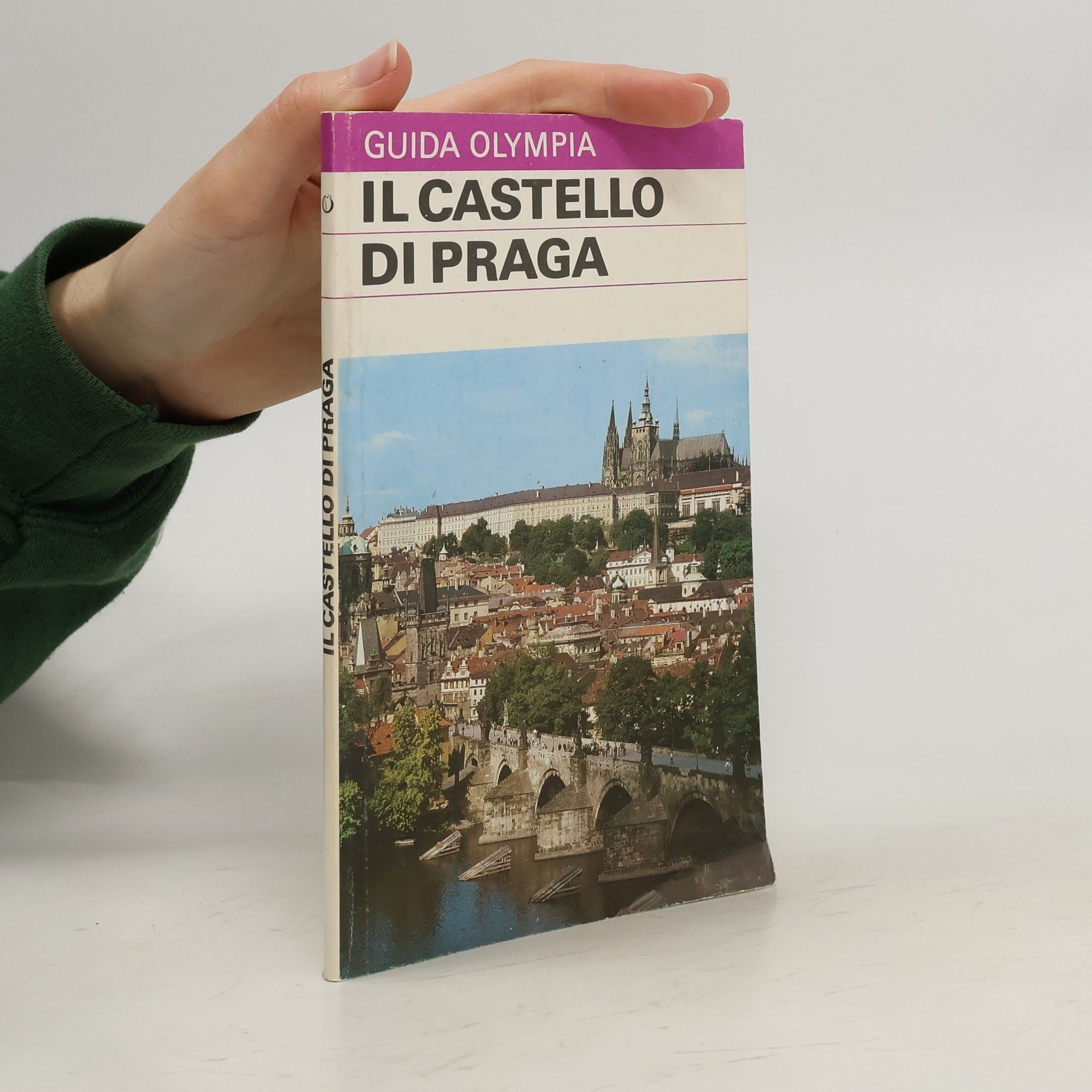 Petr Chotěbor Il Castello di Praga
