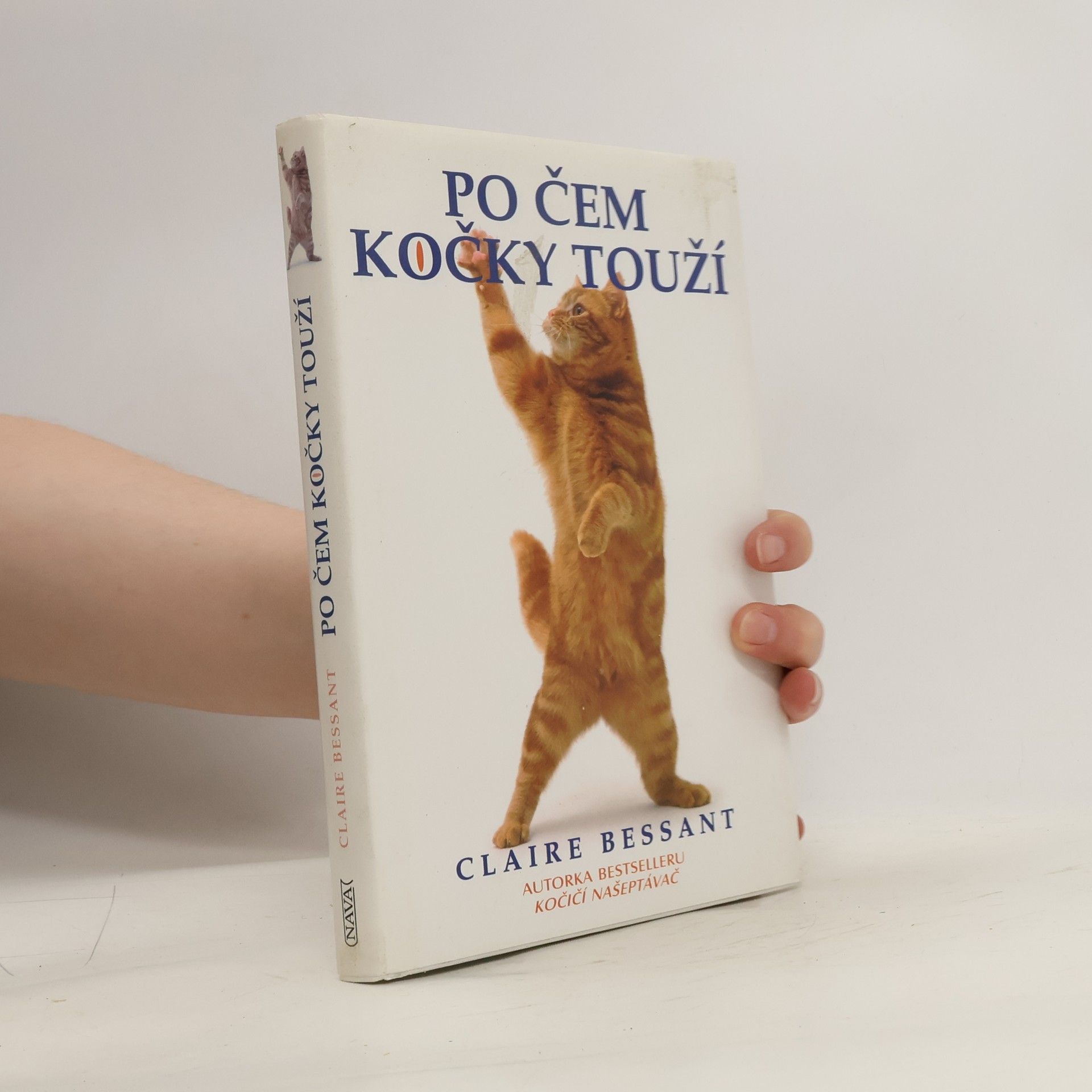 Claire Bessant Po čem kočky touží
