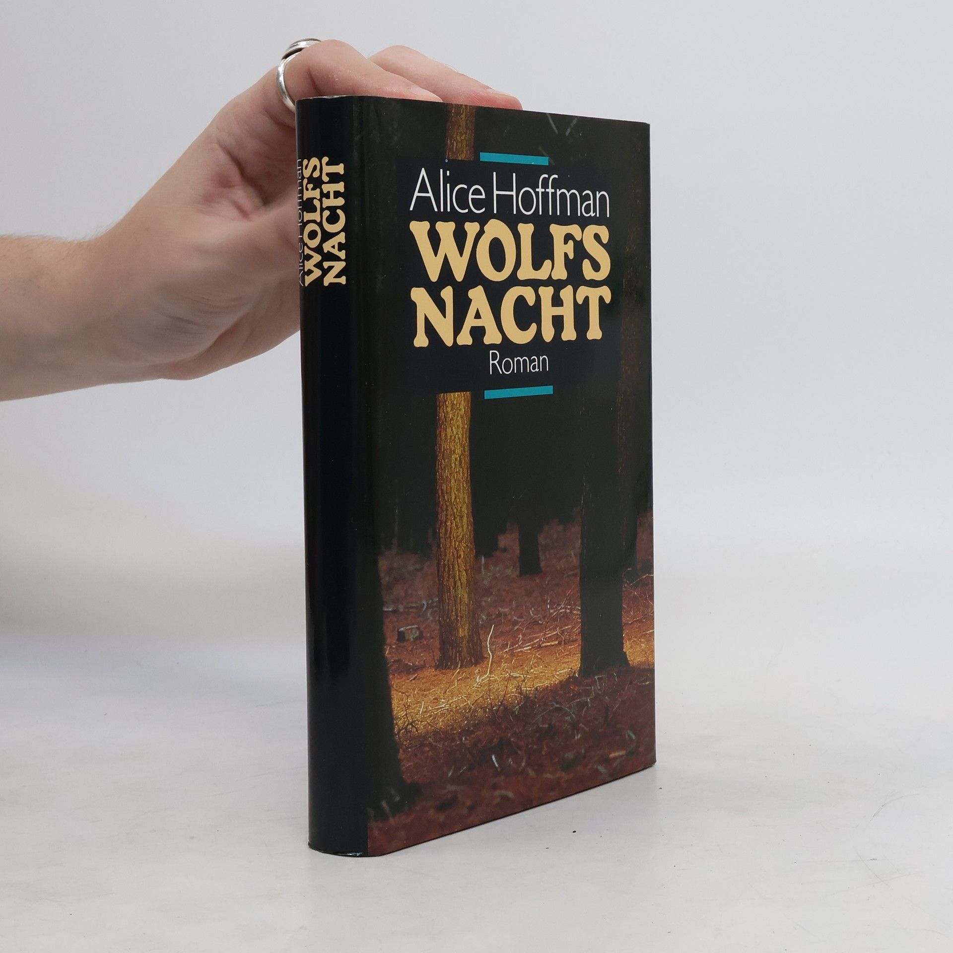 Alice Hoffmann Wolfs Nacht