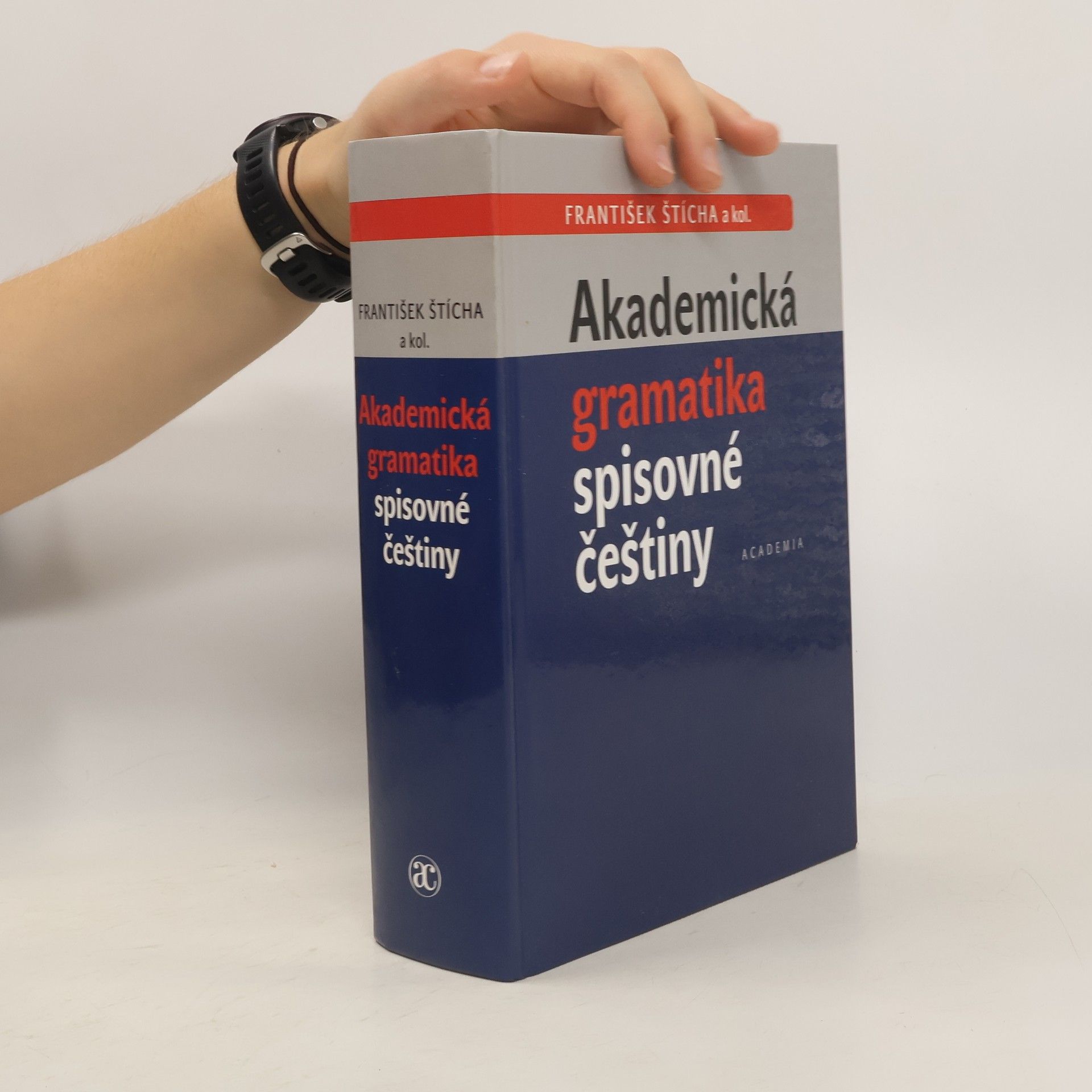 František Štícha Akademická gramatika spisovné češtiny