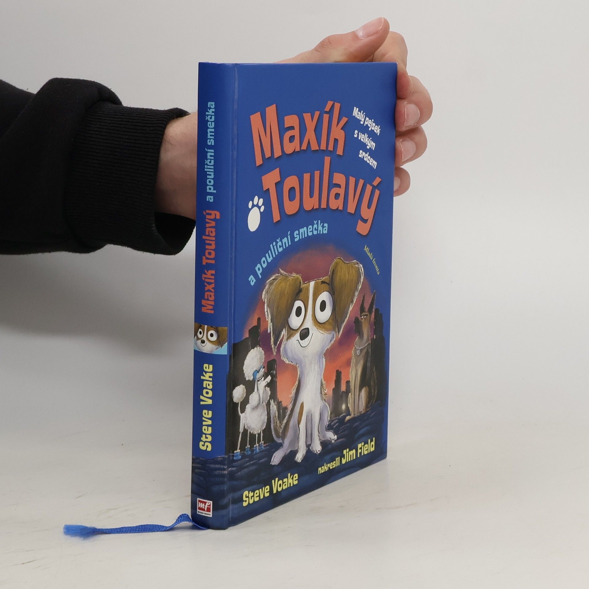 Steve Voake Maxík Toulavý a pouliční smečka
