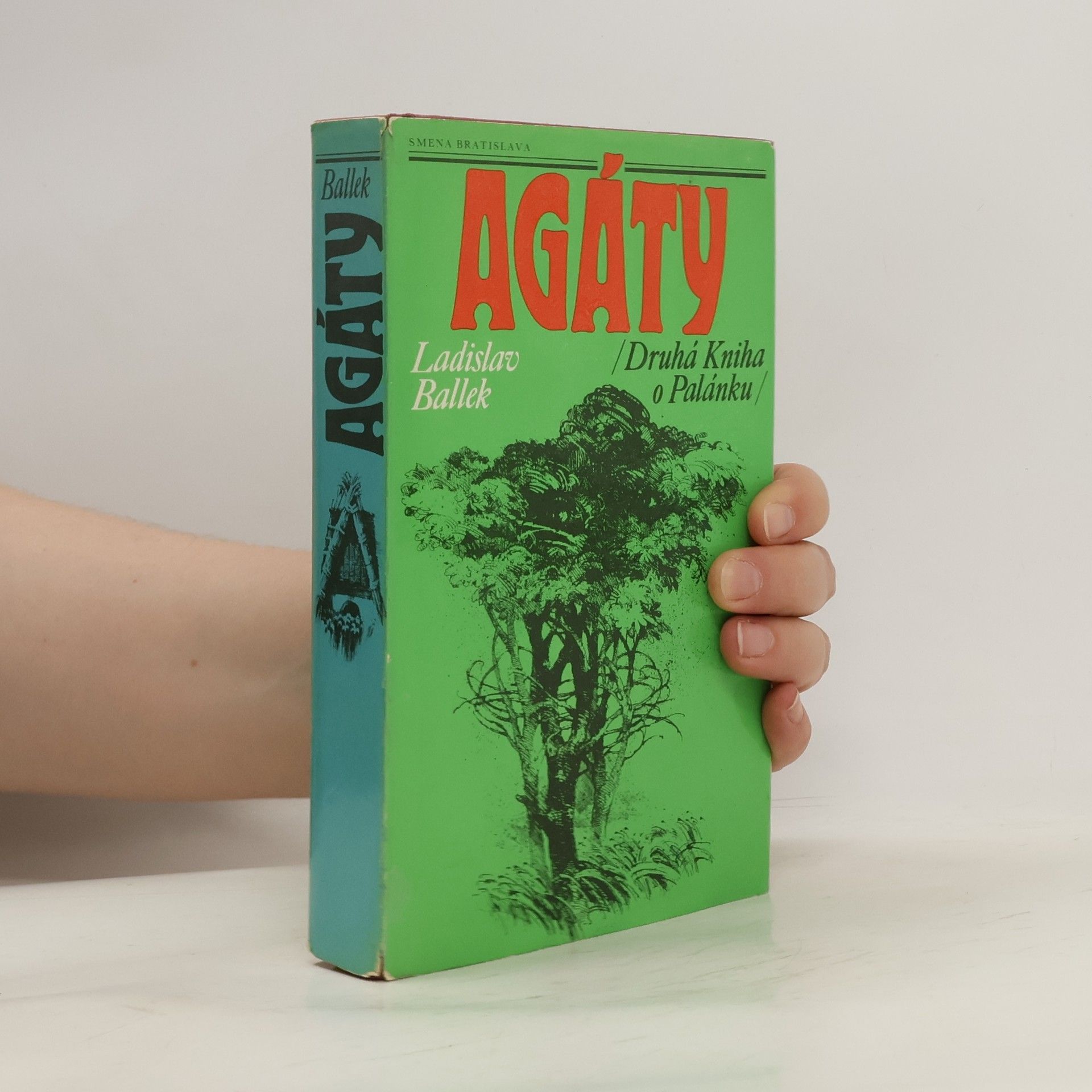 Ladislav Ballek Agáty