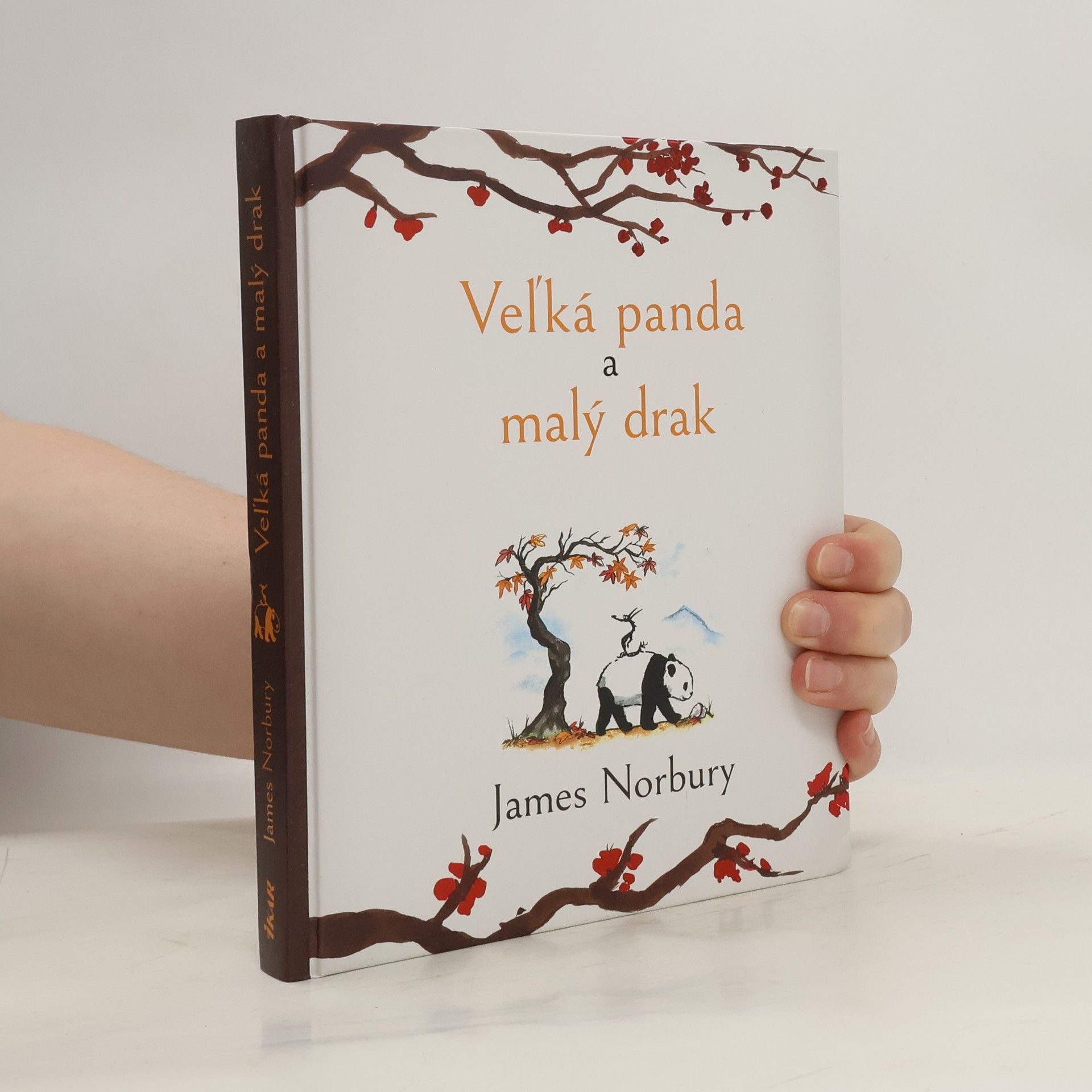 James Norbury Veľká panda a malý drak
