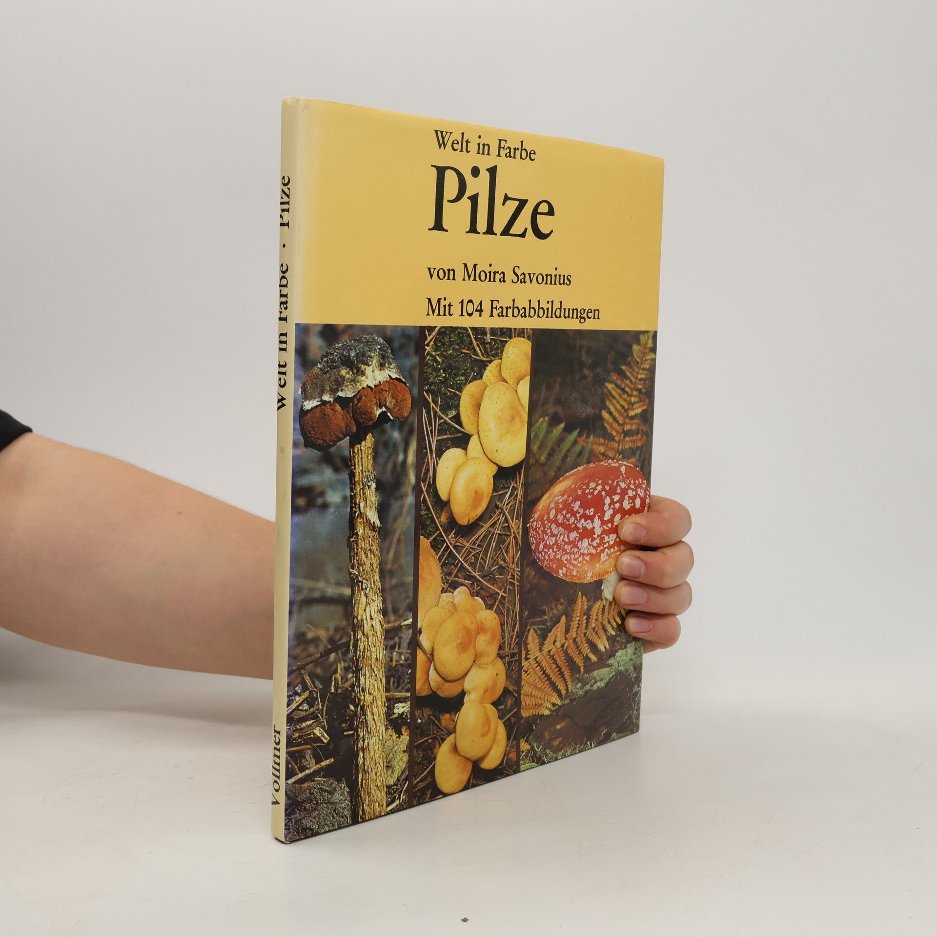 Moira Savonius Welt in Farbe. Pilze