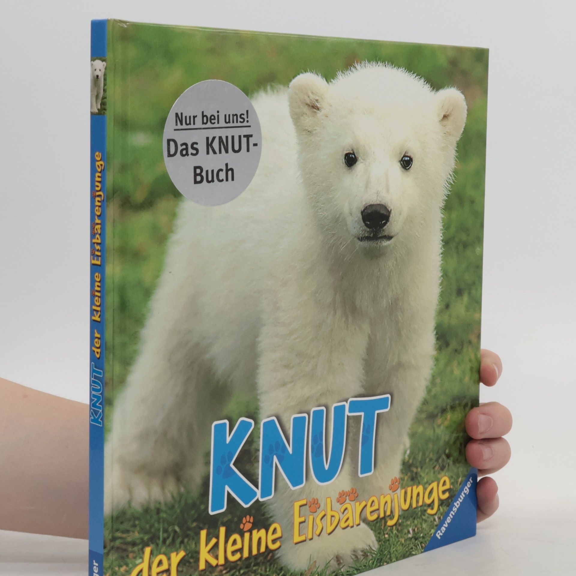Juliana Hatkoff Knut: der kleine Eisbärenjunge